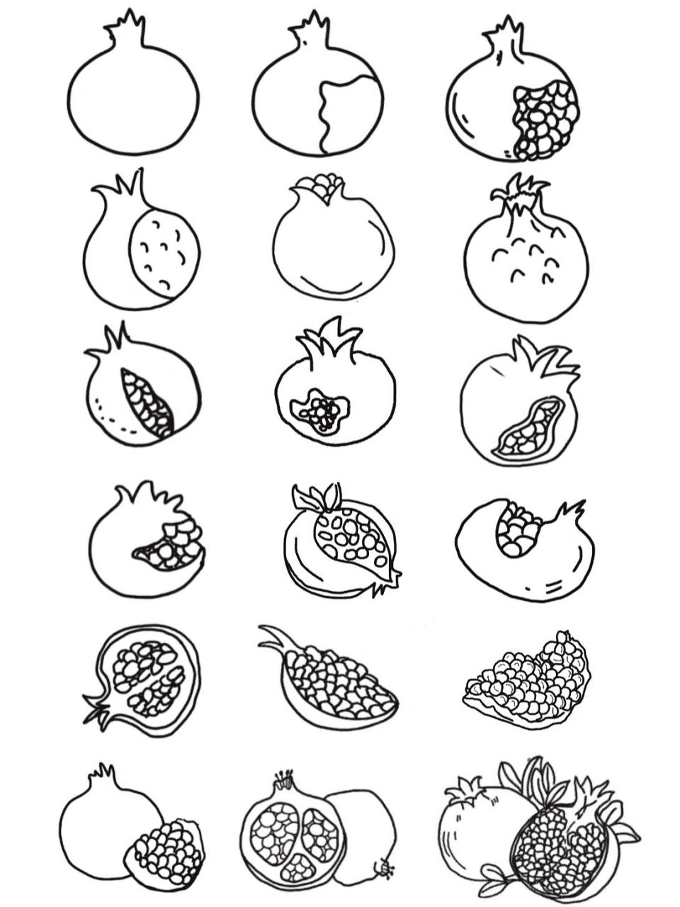 黑白简笔画-石榴(pomegranate) -简笔画练习 -知识普及: 中国安徽怀远