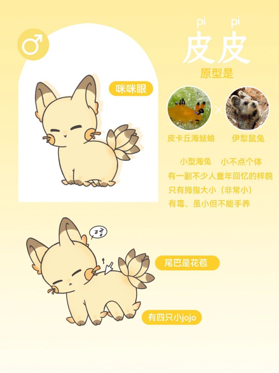 【海兔百科】皮皮的资料卡99 馆长大人,我来投稿了 	 皮卡丘海蛞蝓