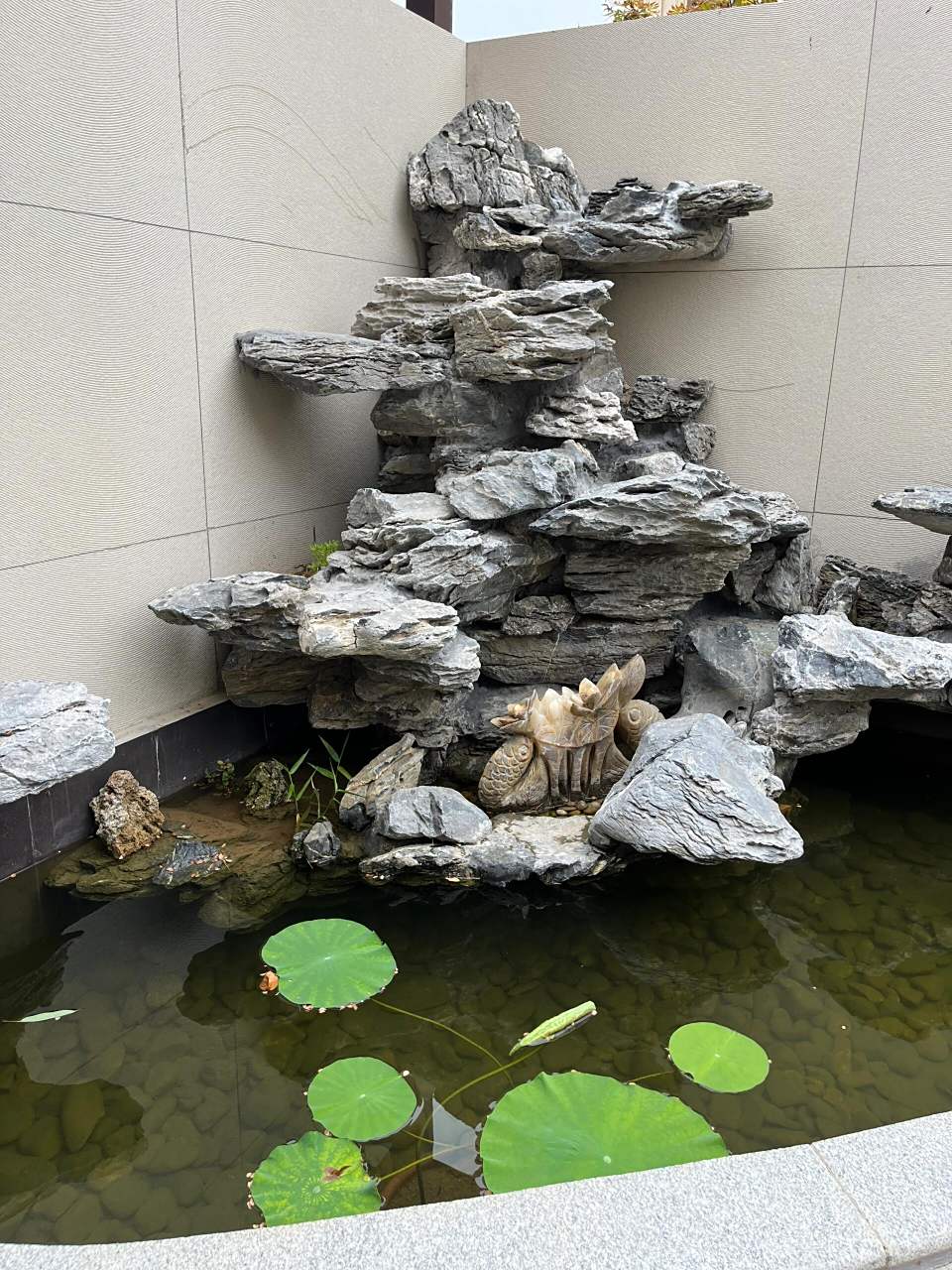 一眼就心动的庭院假山鱼池,植物造景好美…… 冬季下完雪的庭院假山