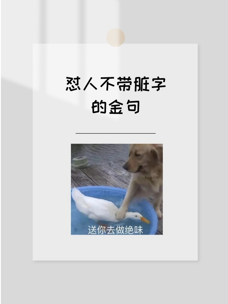 你家是卖水管的吗?管那么多 4.世界那么多灰,我怎么知道你是那一嘬 5.