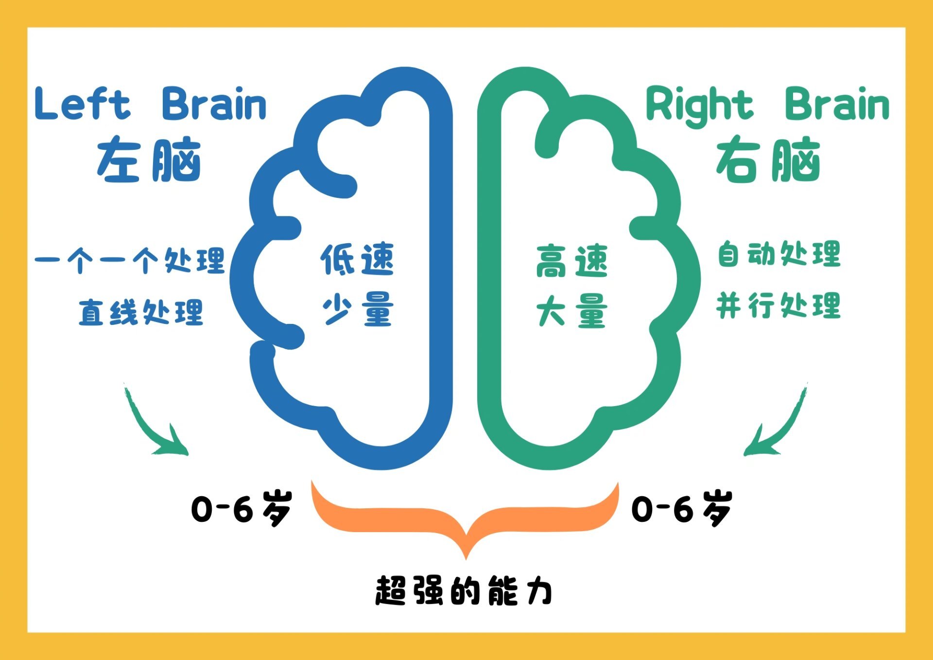大白话解释左右脑的分工99