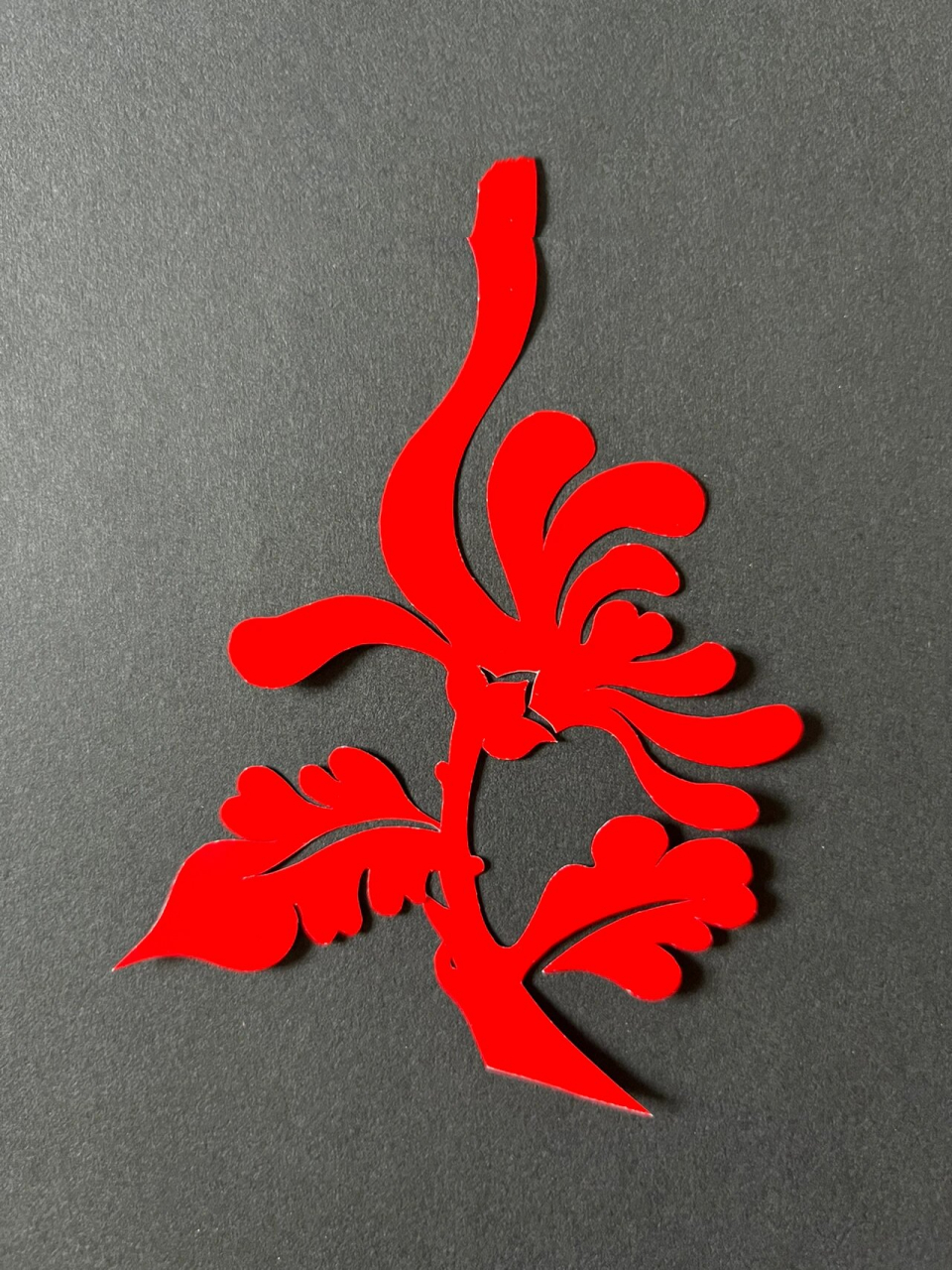 干货满满哦 93#非遗剪纸# #脱稿剪纸# #手工剪纸# #手工剪纸# #菊花