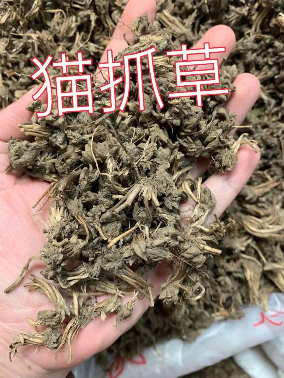 猫抓草功效作用 猫爪草具有化痰散结,解毒消肿等功效.
