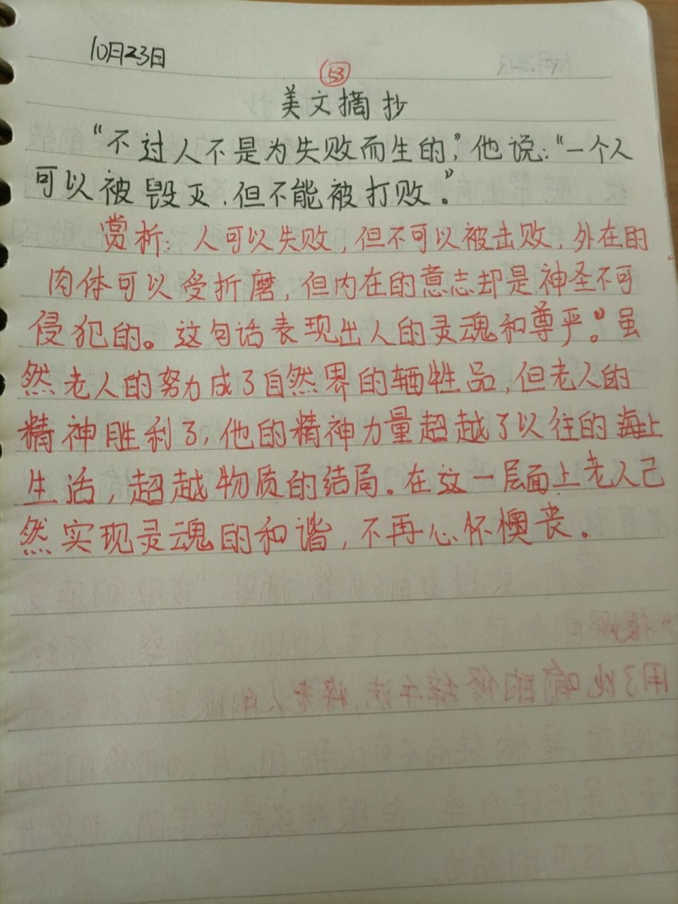 《老人与海》美段摘抄与赏析