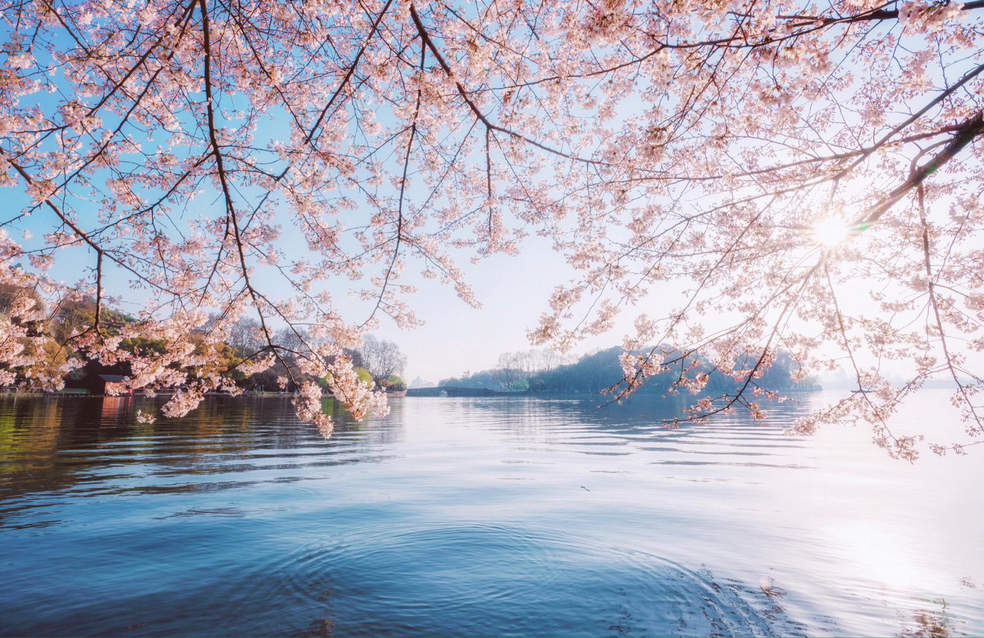 西湖十景之首"苏堤春晓"最佳机位在哪 "苏堤春晓"在南宋时就被列为