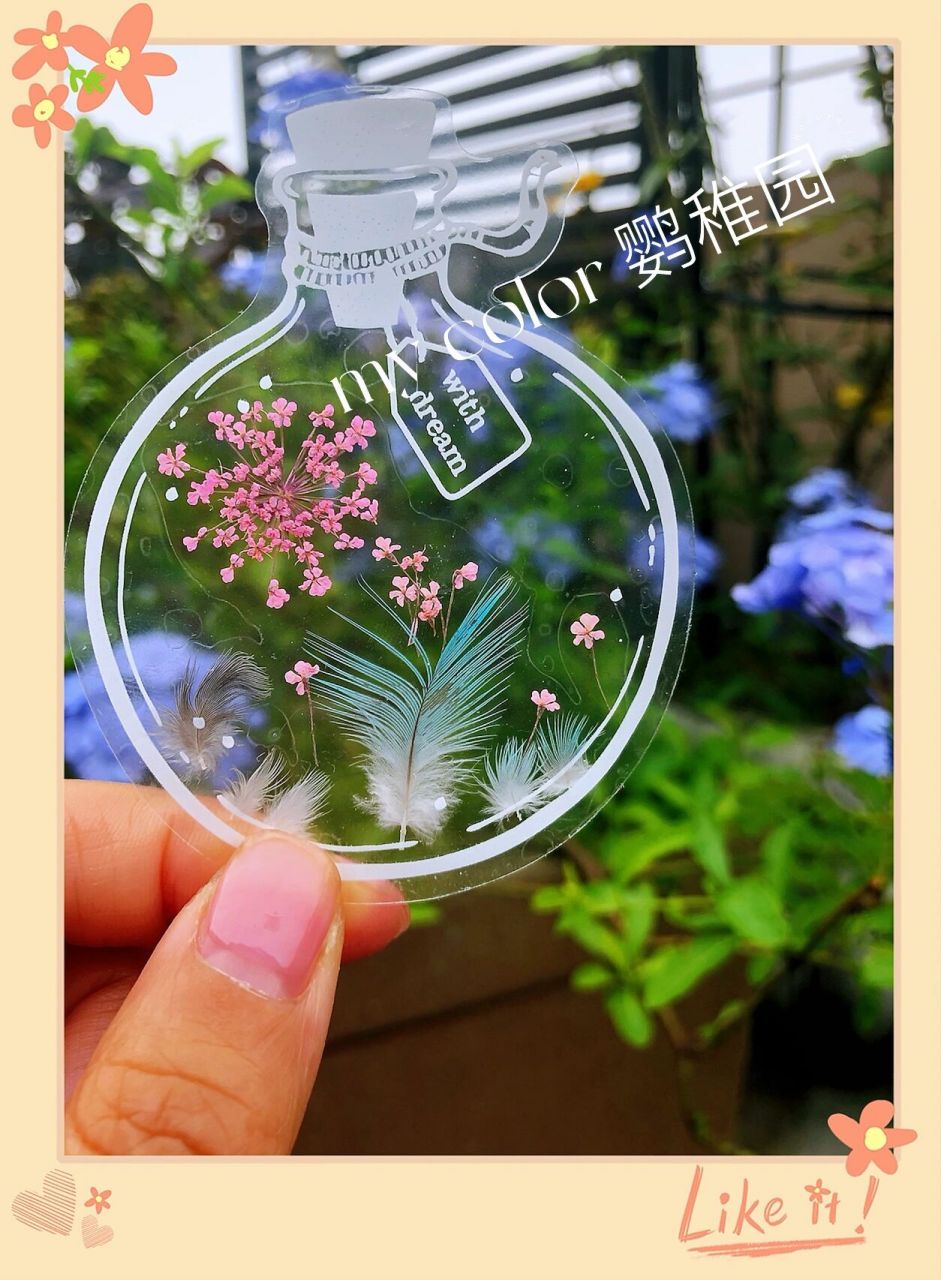 鹦鹉羽毛自制书签,鹦鹉羽毛做书签 家里有鹦鹉的朋友.