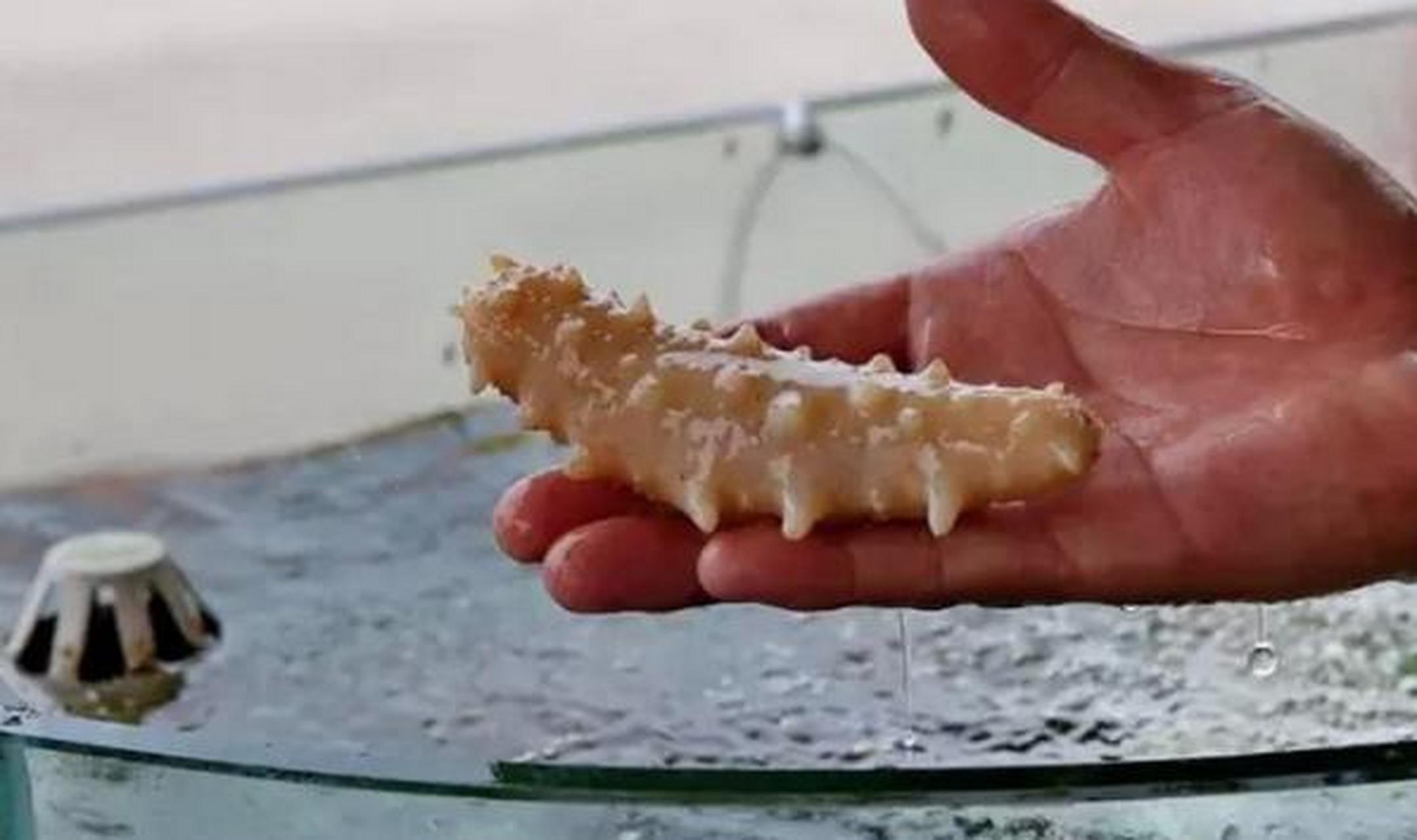 2007,东北小伙李柏林将158吨石头扔进大海,几乎花光了家里上亿资产