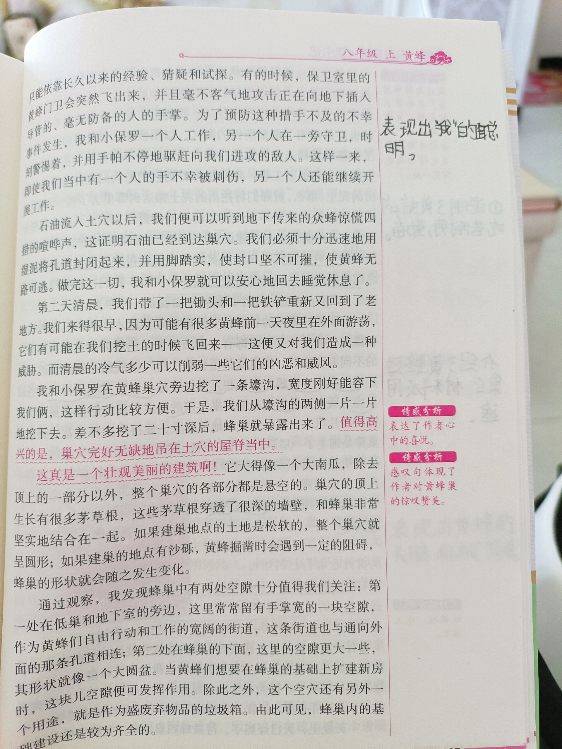 《昆虫记》第十九章黄蜂