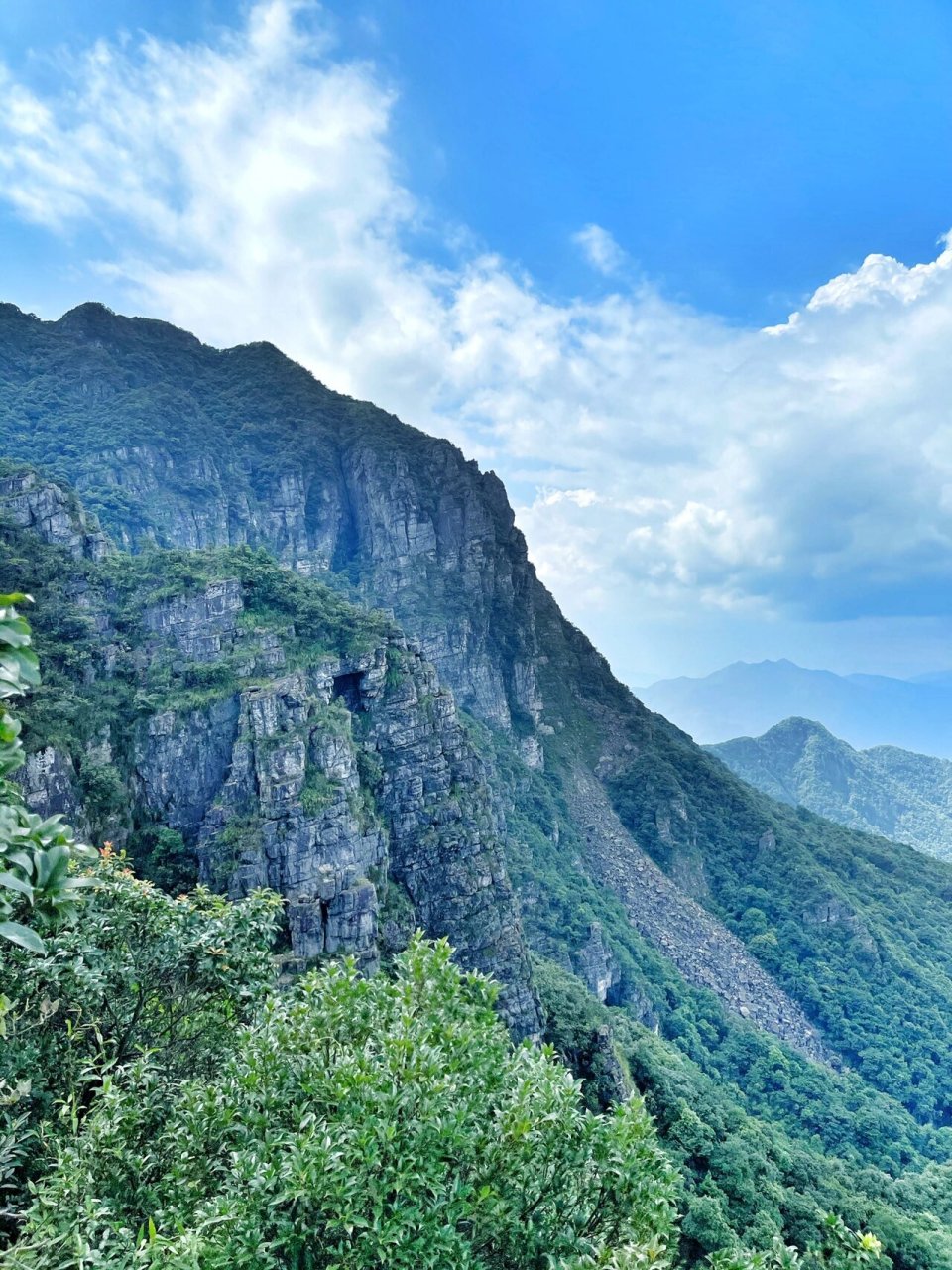 茶岩顶位于韶关曲江罗坑镇内·毗邻英德 97 山顶长满野茶树而出名