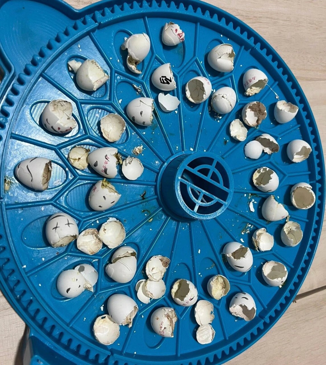 玄凤鹦鹉孵化温度湿度多少出壳率最高?