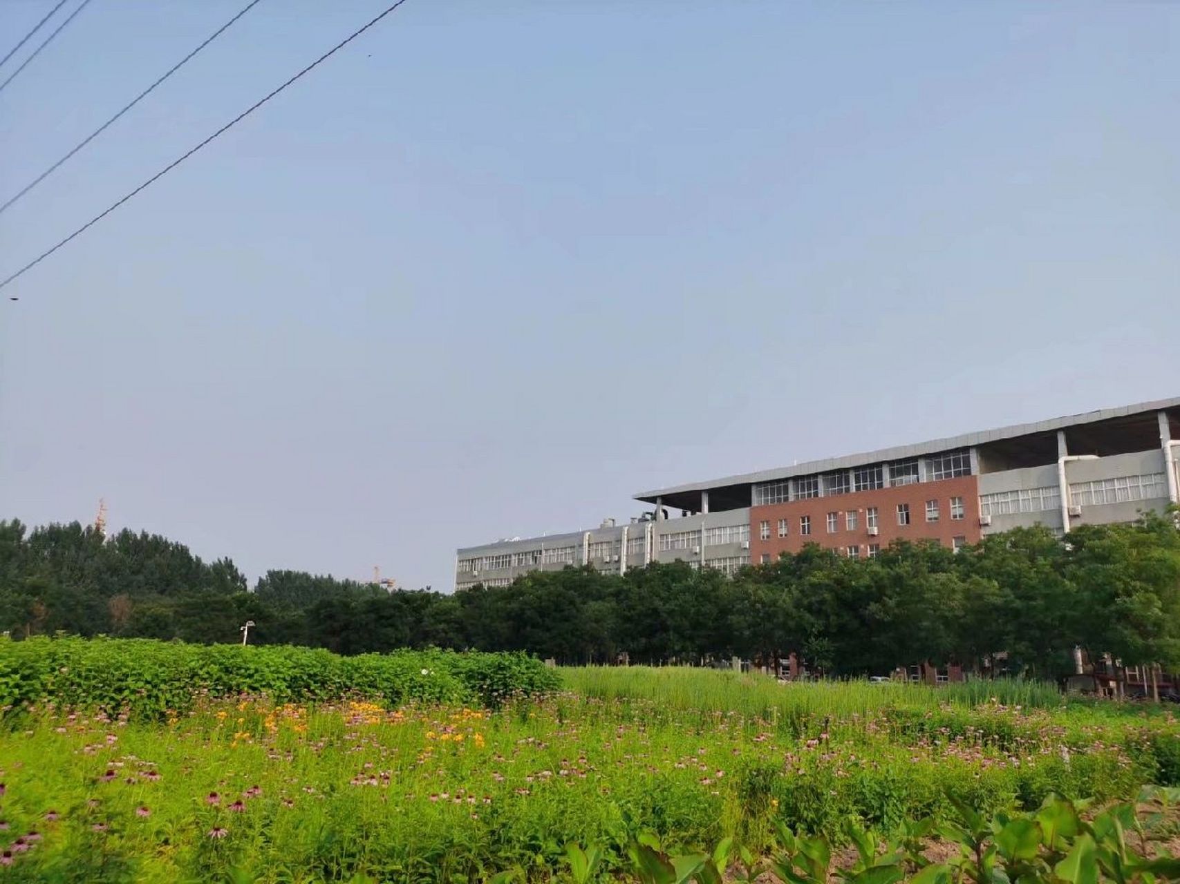 河北中医学院杏苑校区图片