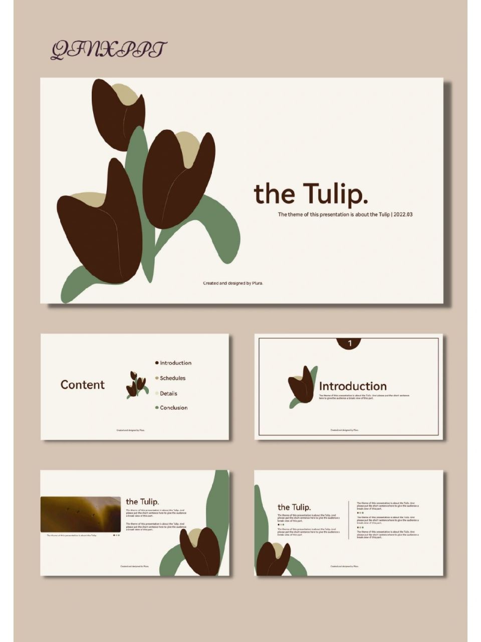 郁金香高级感莫兰迪色系ppt模板【356】 共15页,图文可编辑修改 #创意