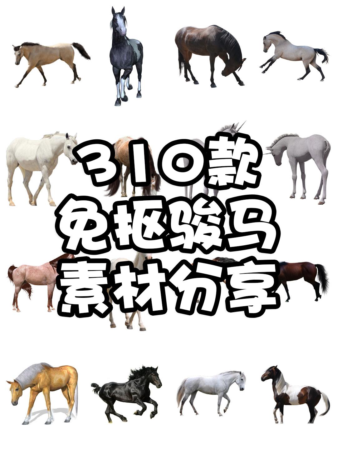 它们不仅代表着力量与速度还象征着勇敢自由和忠诚