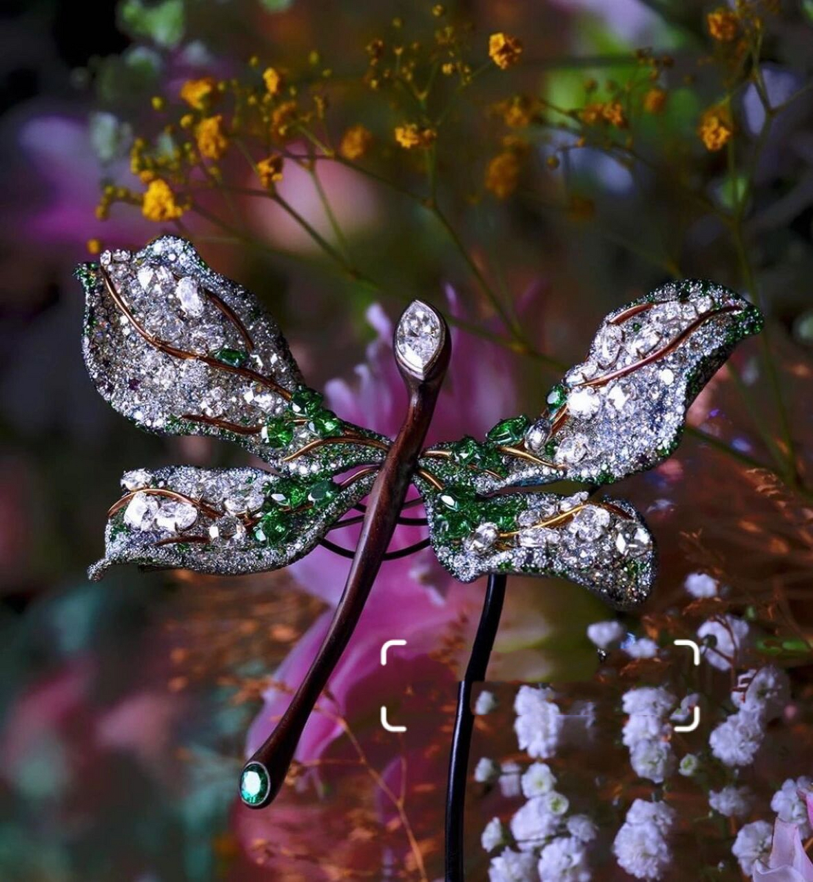 cindy chao艺术珠宝「梦幻蝴蝶03」 这件作品是cindy chao创作的