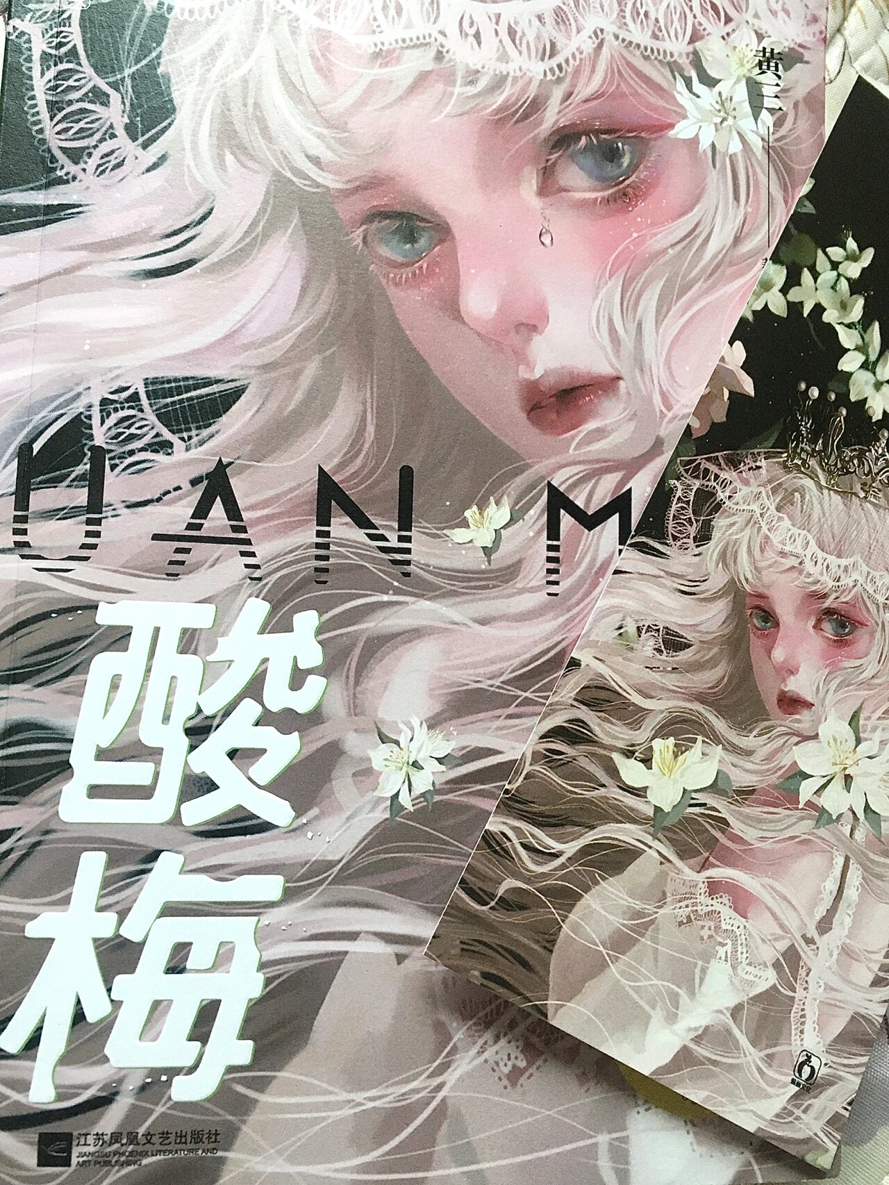 《酸梅》祁正 夏藤