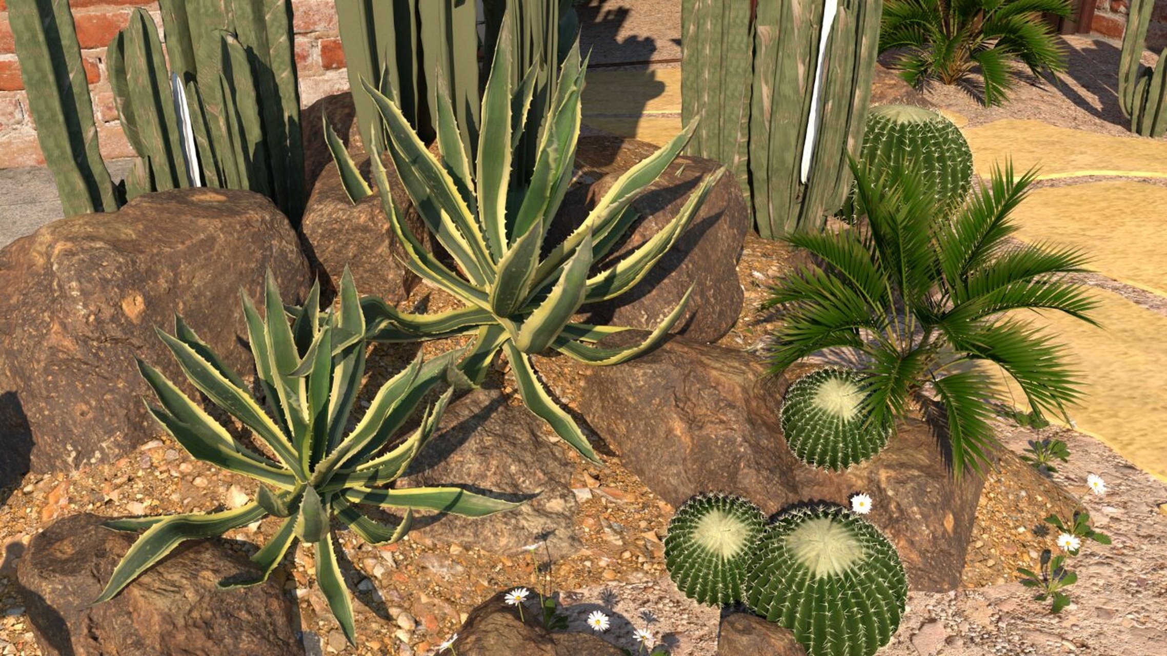 植物造景011|沙漠造景 多角度沙漠风植物造景效果图 沙漠植物配合各种