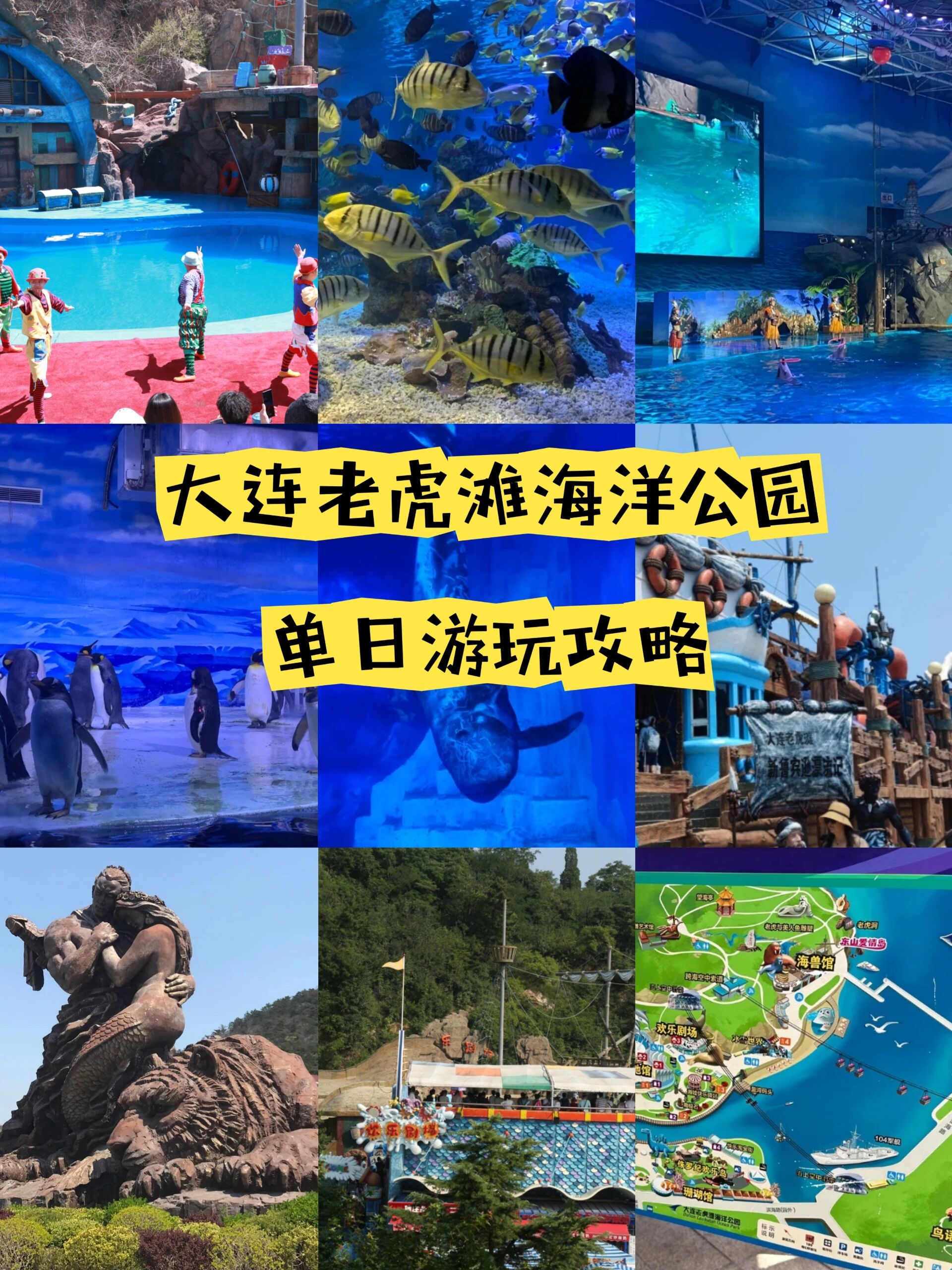 大连老虎滩海洋公园单日游玩攻略