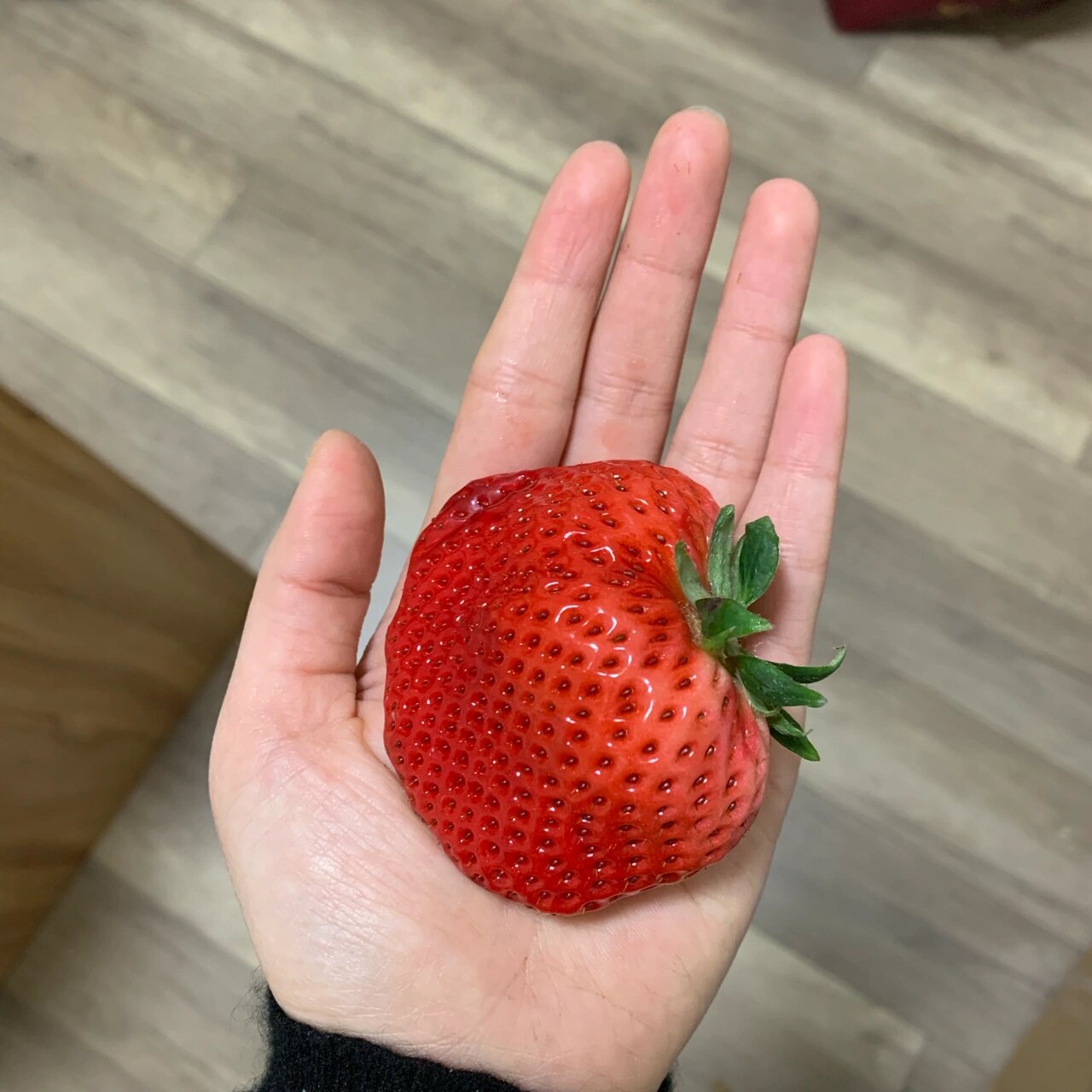 多倍体大草莓 畸形的大草莓就是多倍体育种的结果 我们知道,大多数的