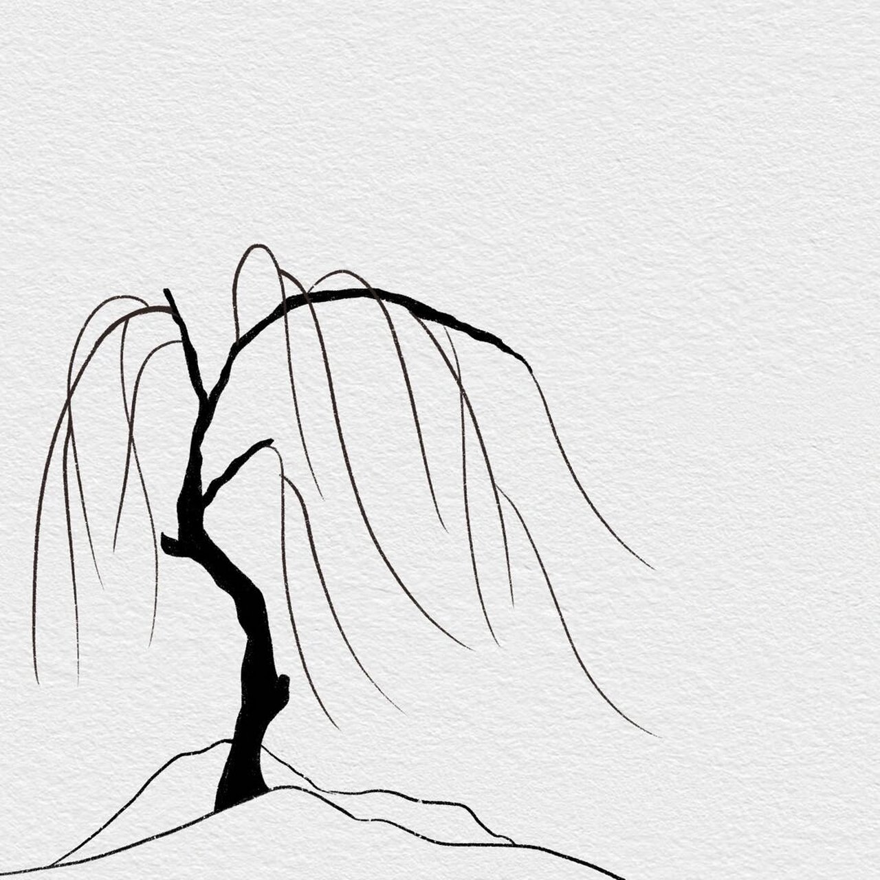 901594  我们要画出柳树的树干,它通常比较细