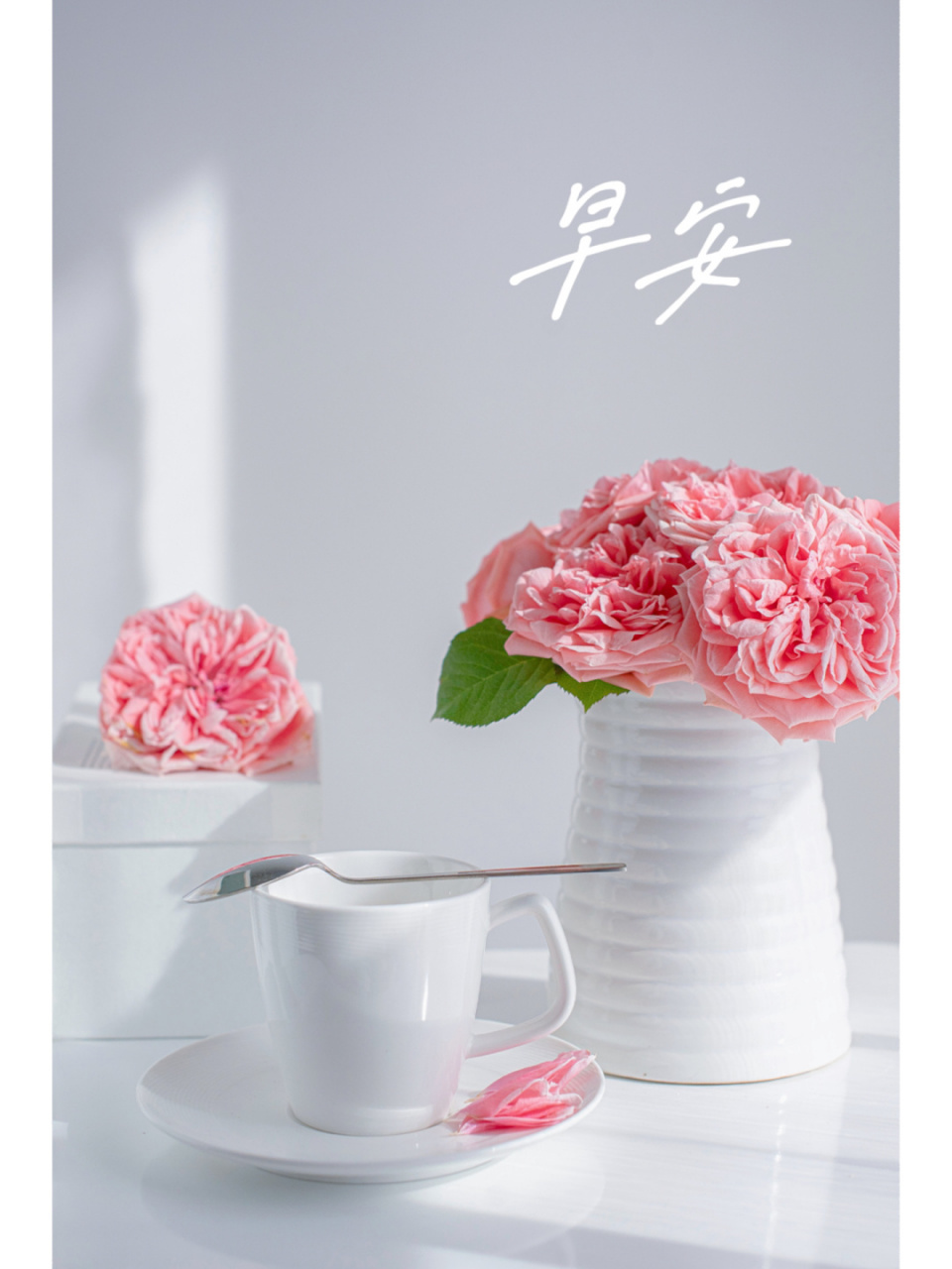 早安美图,早安文案,朋友圈文案,正能量 无论你是否迷茫 在阳光升起的