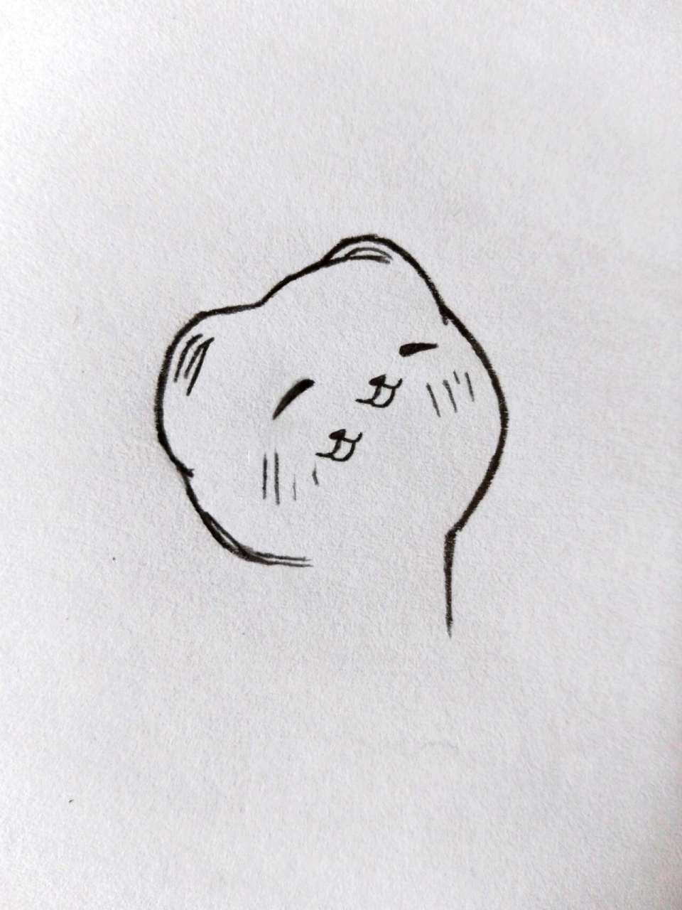 教你画一只雪貂版谢怜,这么可爱!都给我学