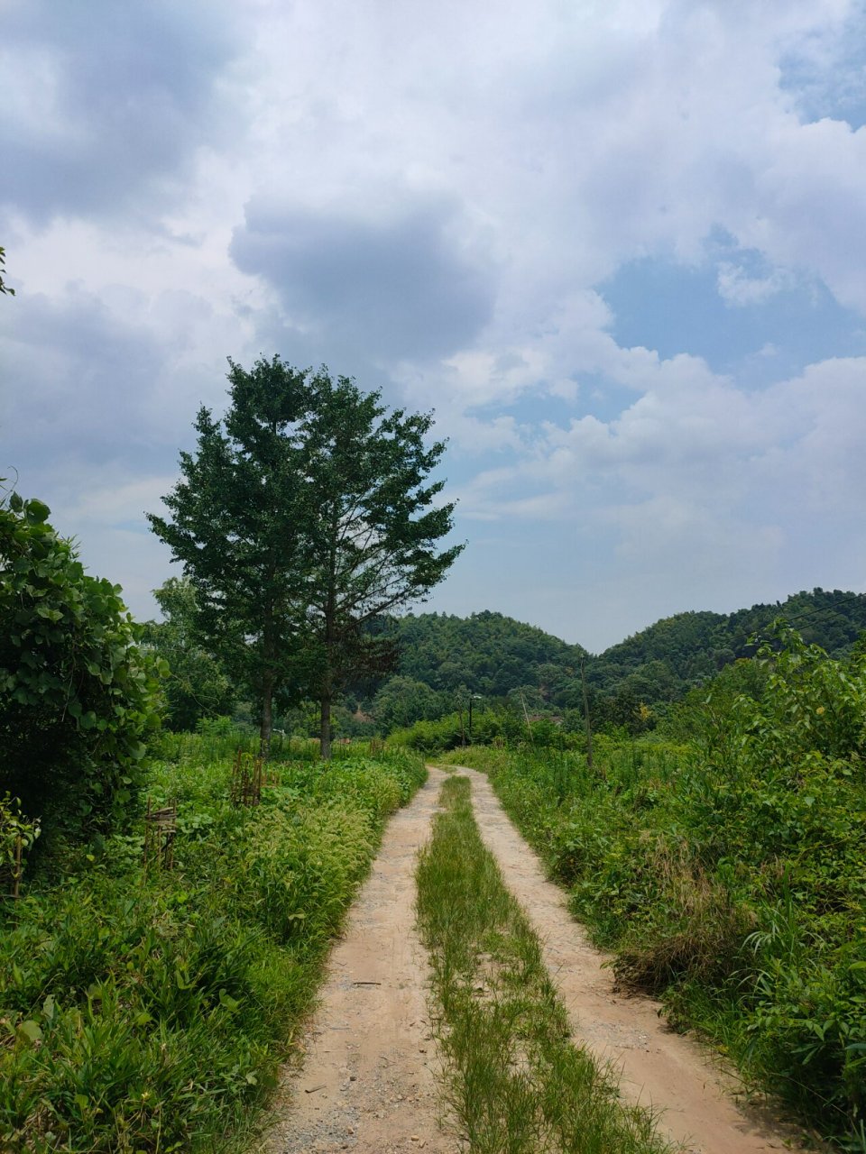 洞霄宫的历史价值 02020202 "杳杳洞天路,苍苍大涤山",这是洞