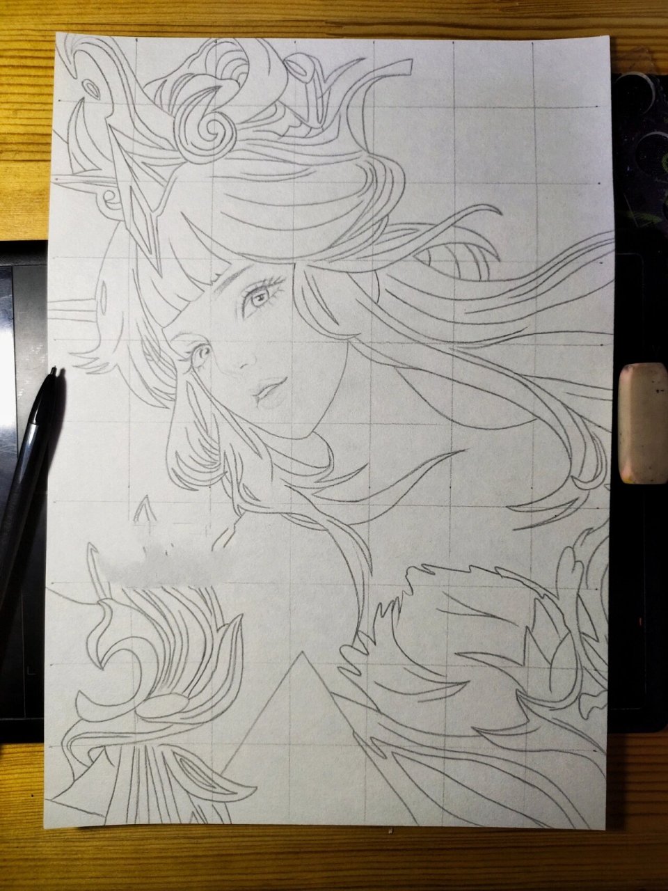 彩铅‖王昭君-凤凰于飞 99【彩铅】 王昭君-凤凰于飞 终于画好了,小