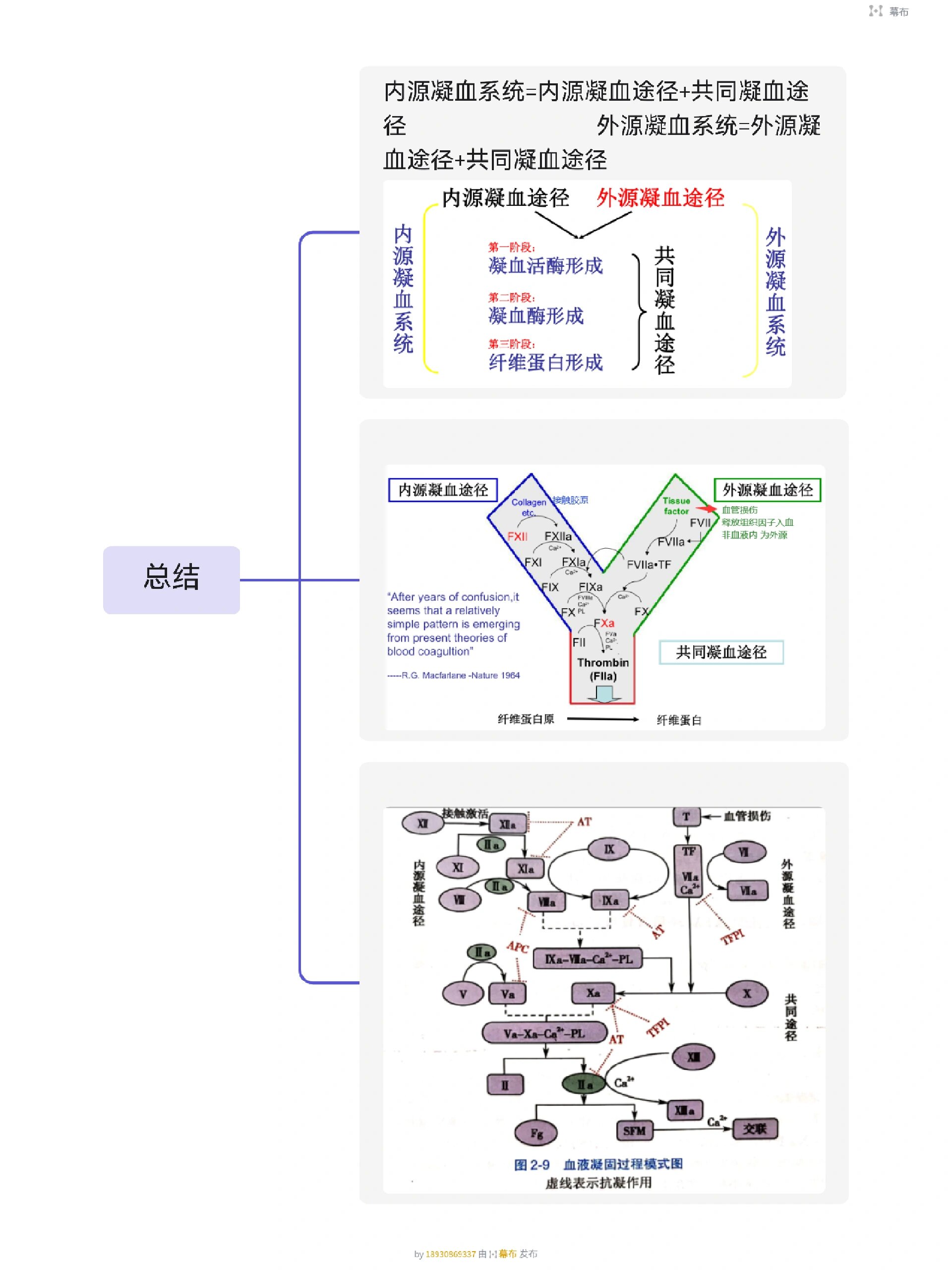 血液凝固机制 瀑布学说 瀑布学说来啦 欢迎关注