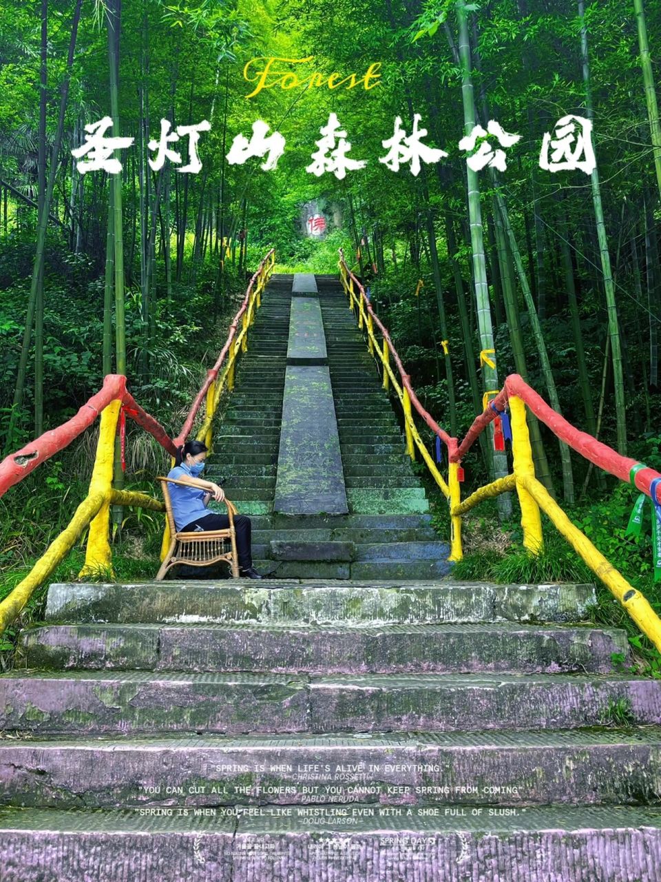 山城重庆| 巴南圣灯山森林公园7215 周末没事一起去郊游吧!