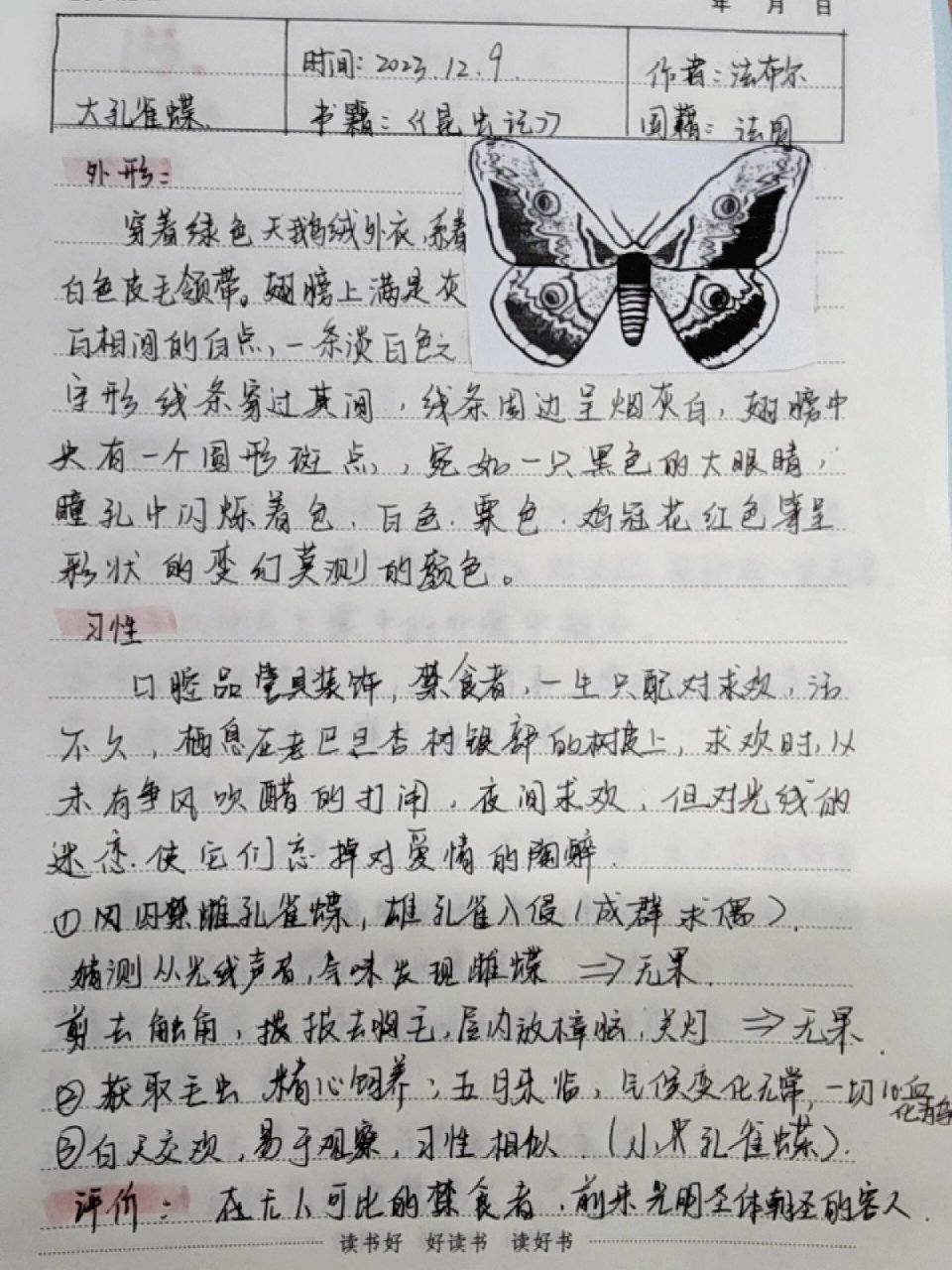《昆虫记》大孔雀蝶#阅读笔记# #读书笔记分享