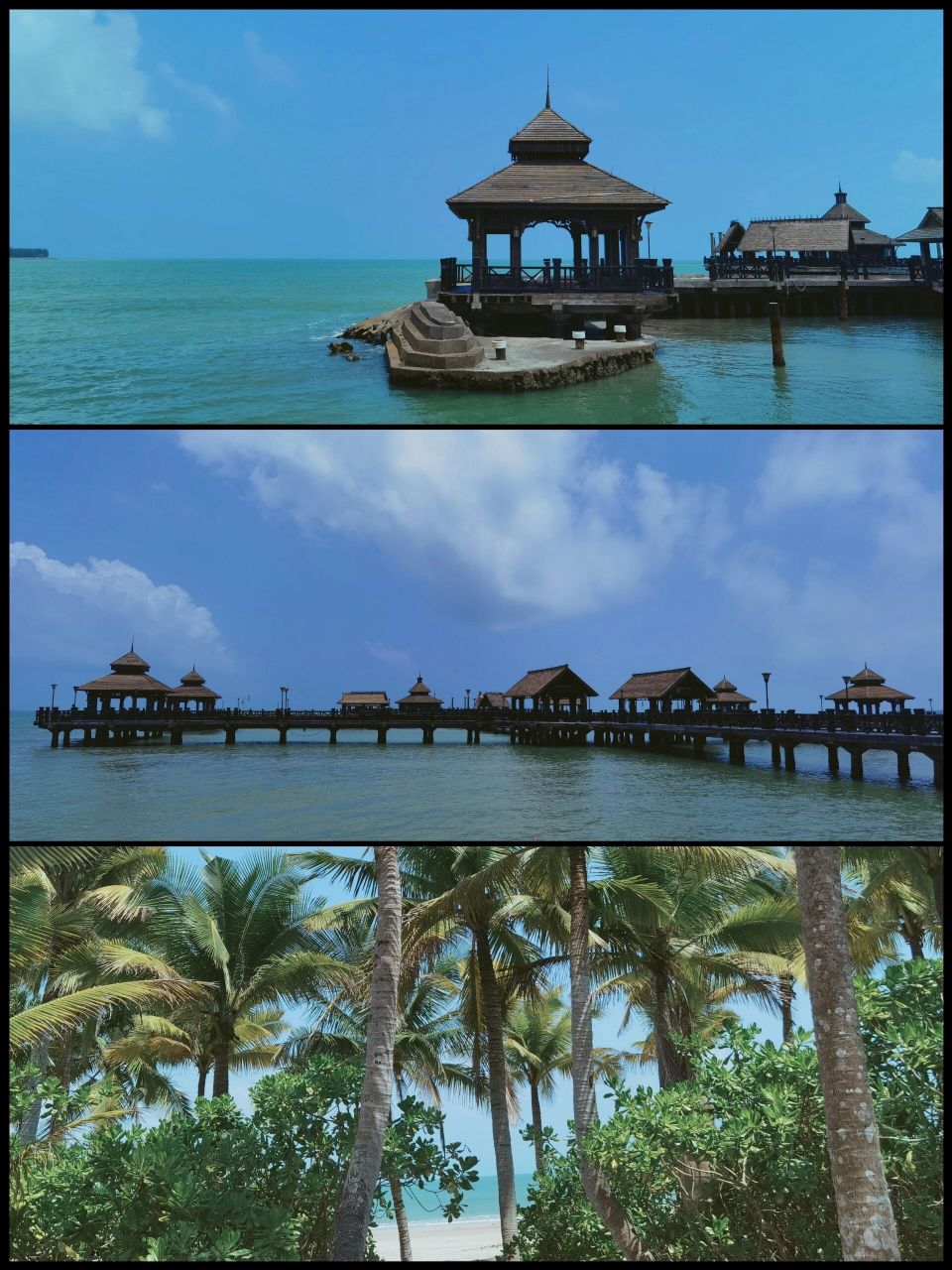 城南以南还是蓝‖文昌逸龙湾 ps : 在海南彻底实现水果自由(真的太