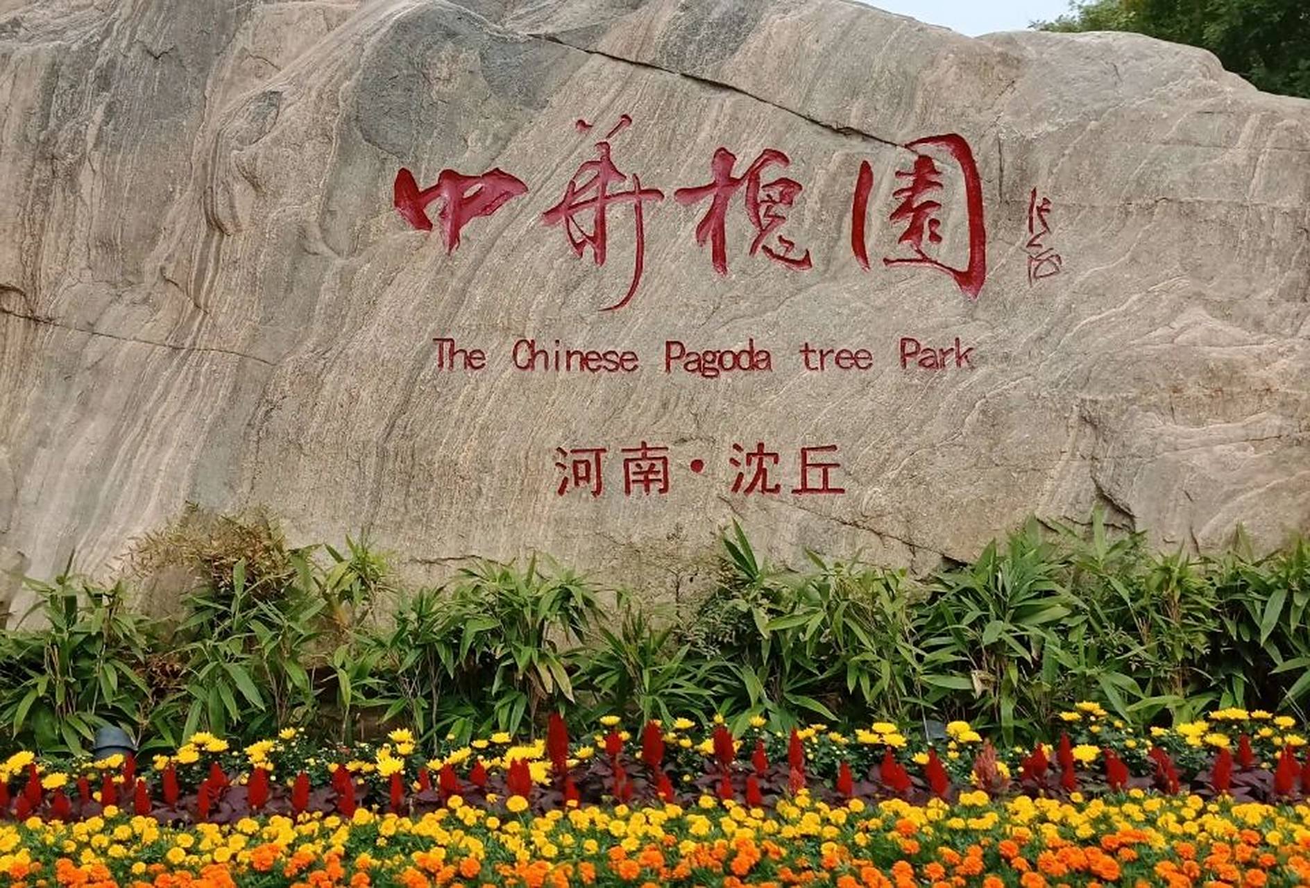 沈丘县景点 中国1312县景点——沈丘县中华槐园 晓顶寺 华佗冢