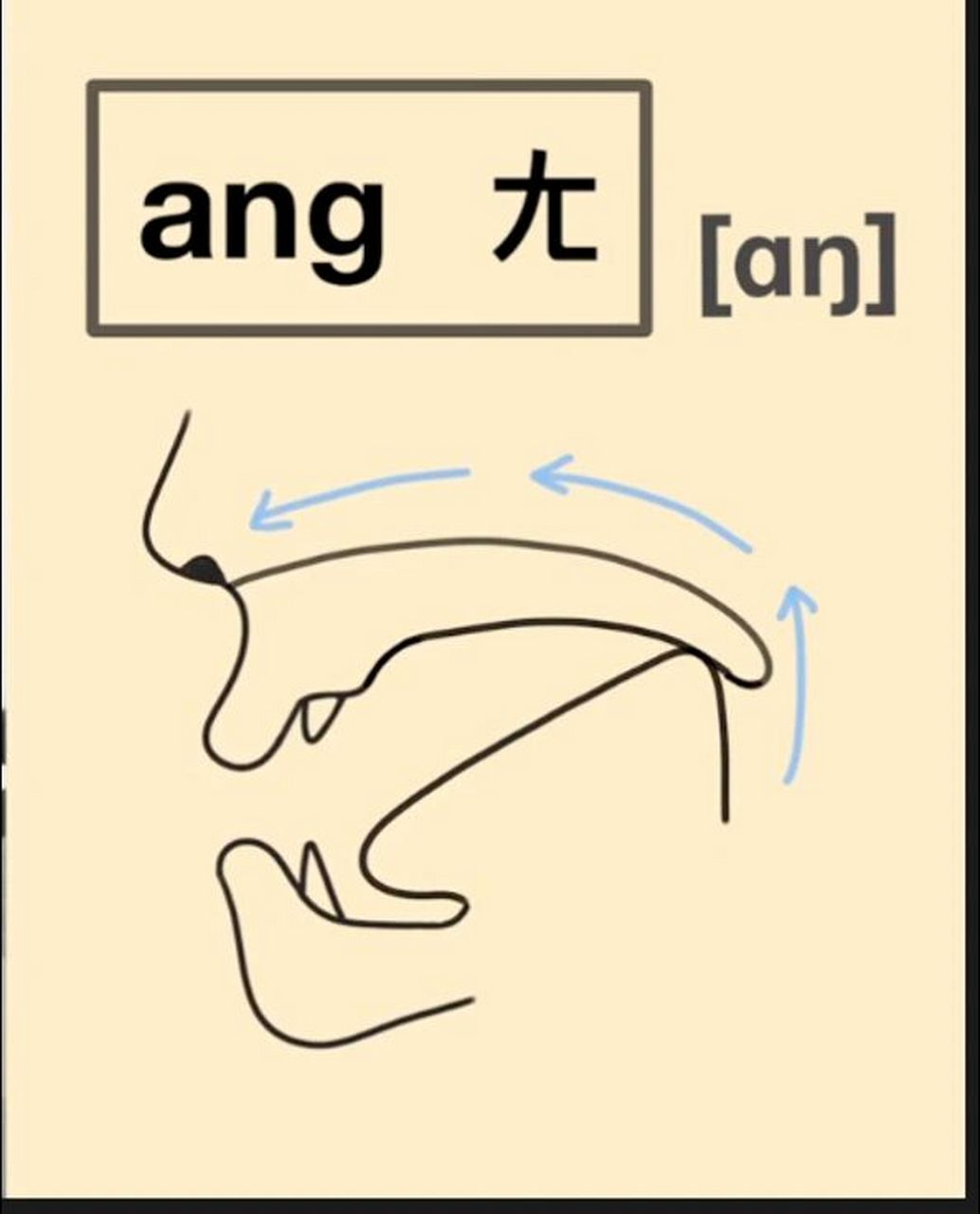 舌面声母图片