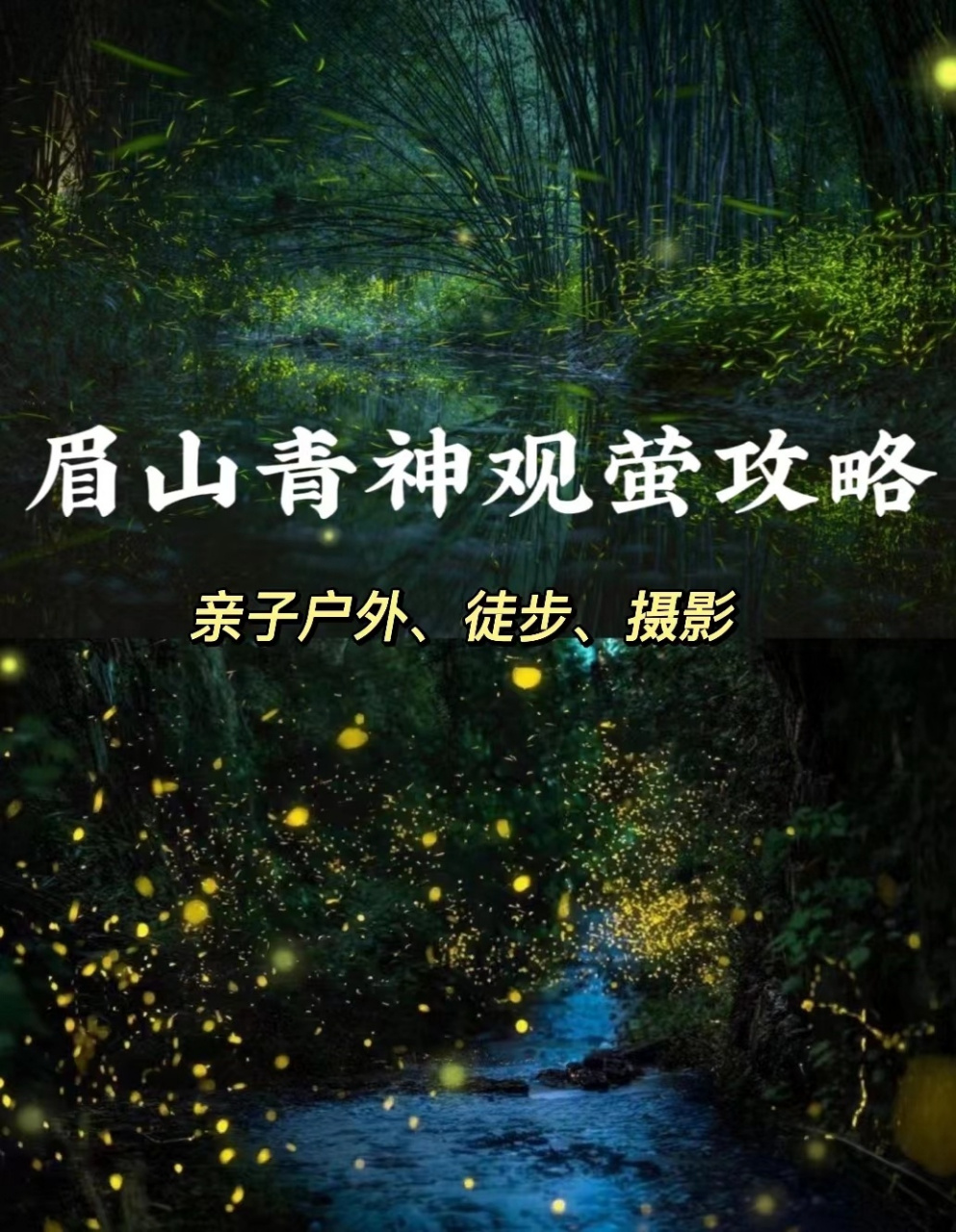 清明节左右青神的萤火虫最多最美,但是最好晴天过来看,适合