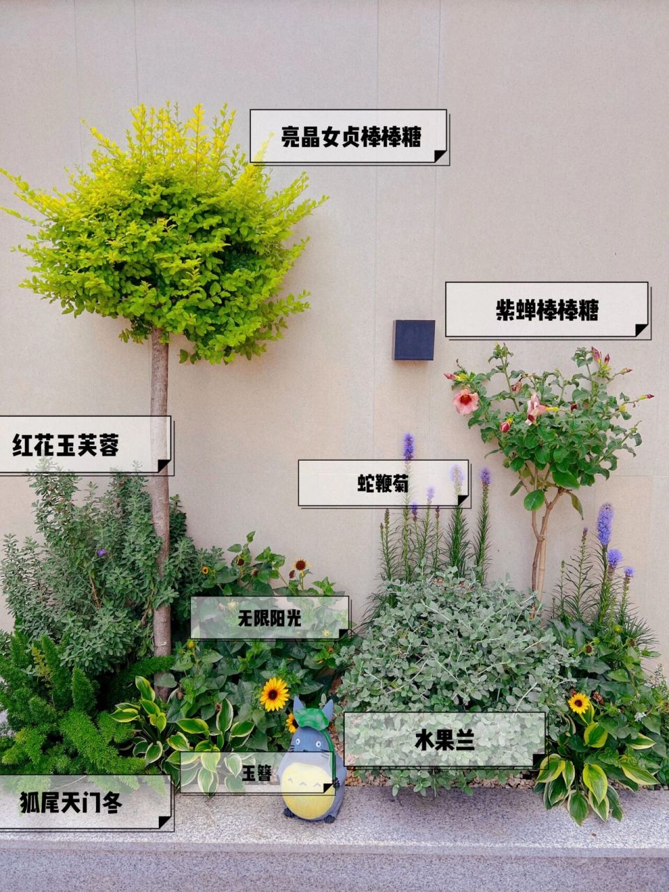 春季花境植物配置图片