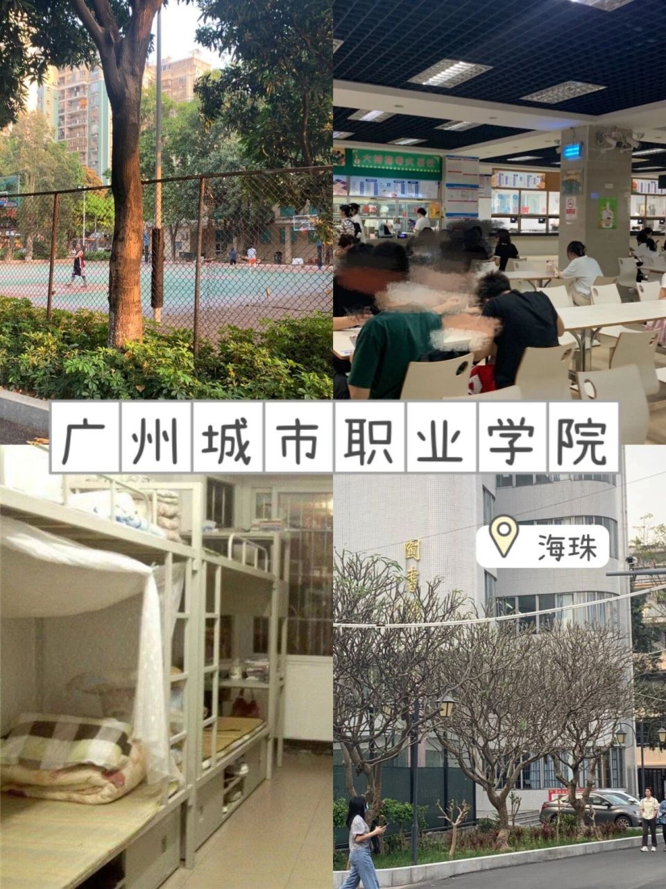广州城市职业学校图片