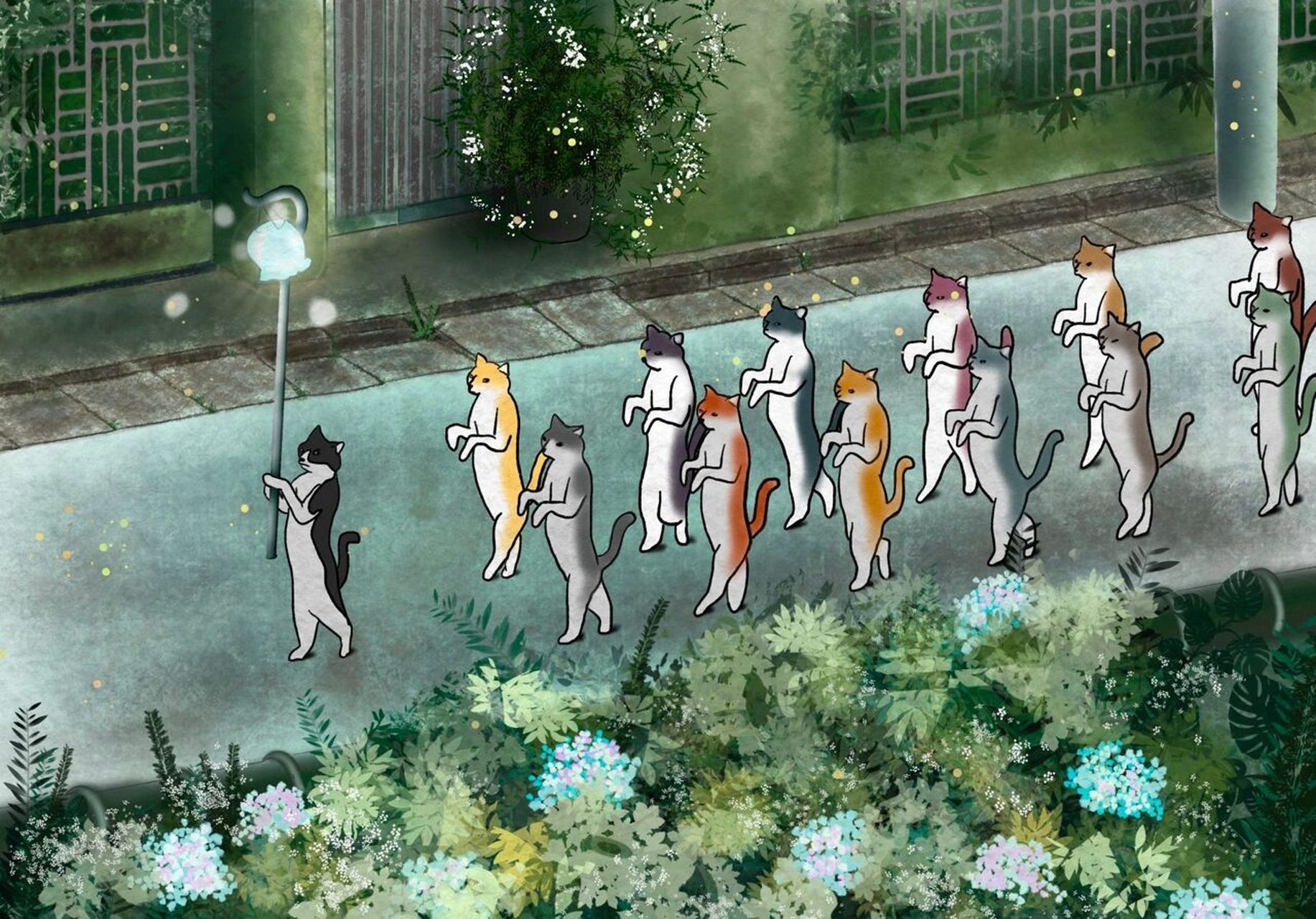 猫的报恩壁纸我也有啦 8.1 17:50哈哈哈哈哈哈哈 图中所示原图 还有一