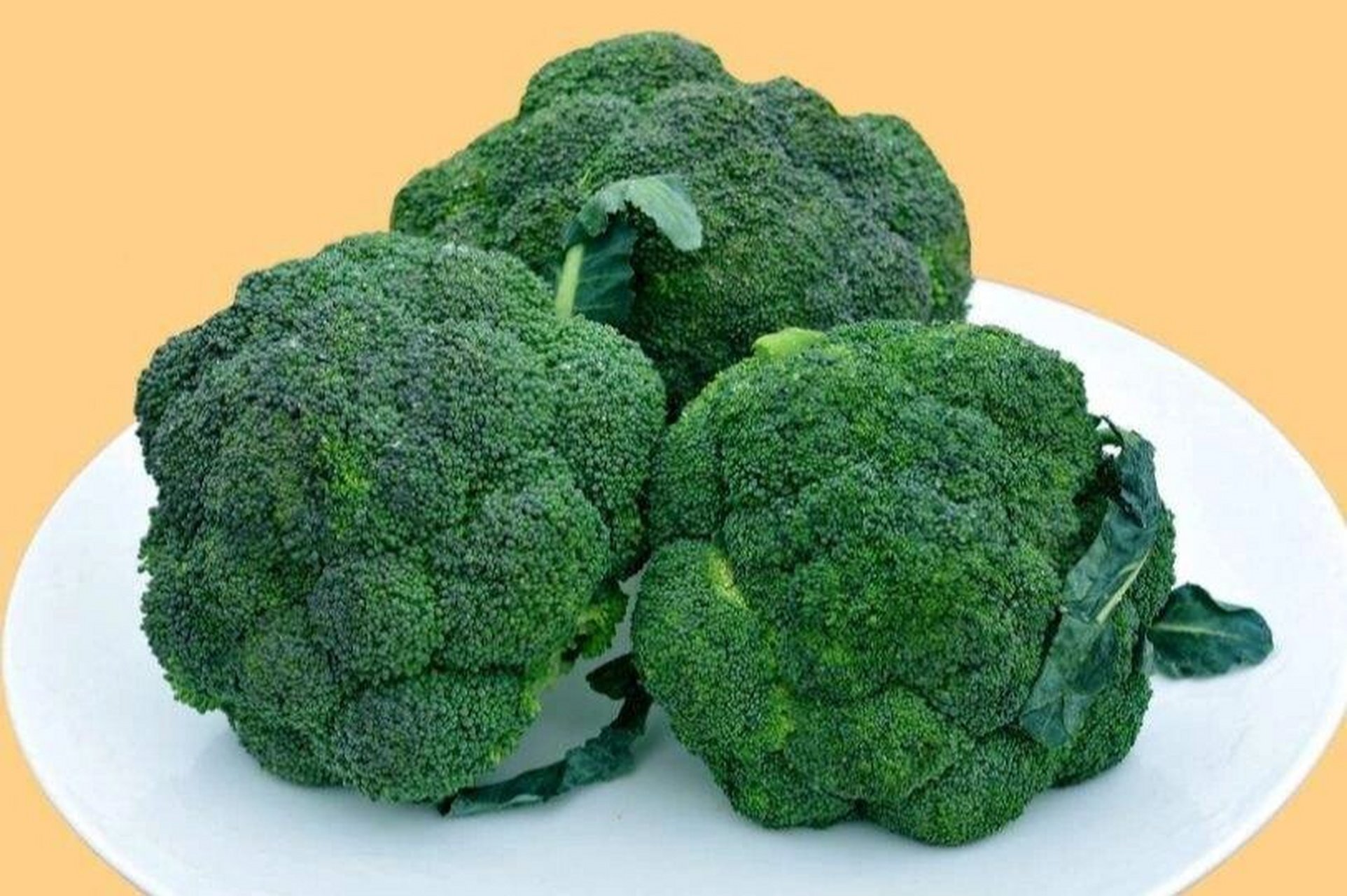 抗炎/保护血管/预防癌症的蔬菜一西兰花 91西兰花是十字花科植物,与