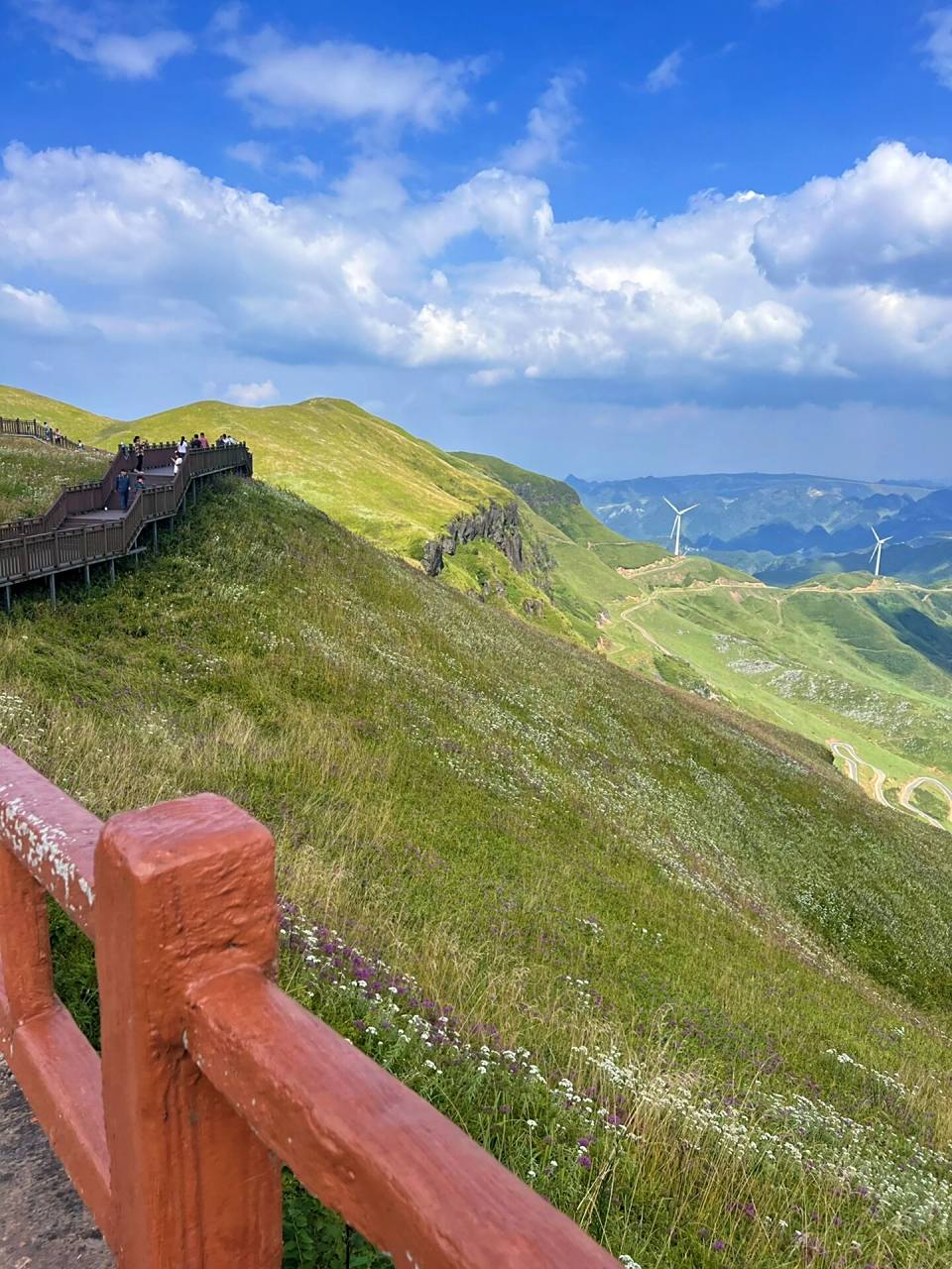 阿西里西韭菜坪94   门票45,观光车25,缆车40 大韭菜坪位于毕节市