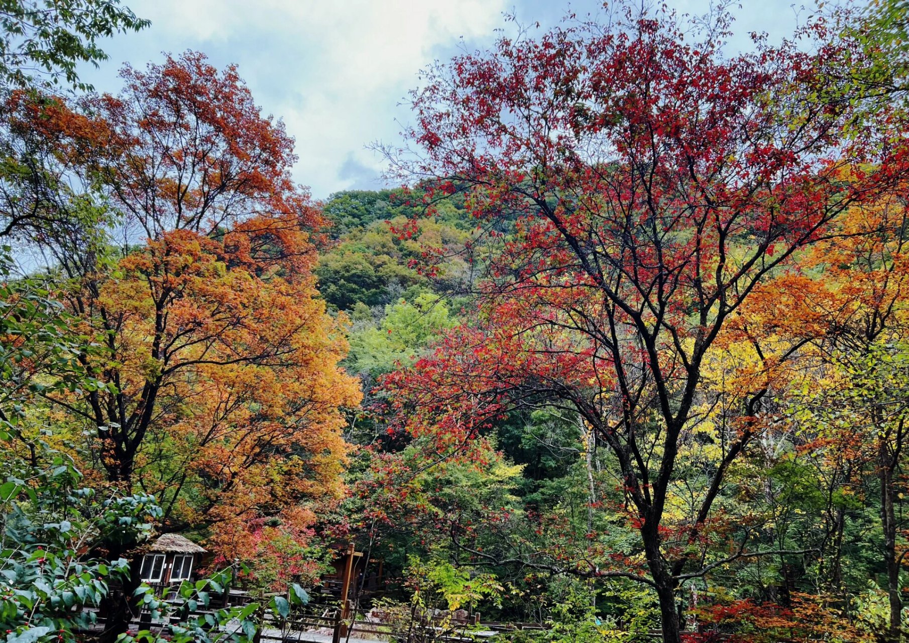 本溪汤沟绿石谷国家森林公园 森林大氧吧989898