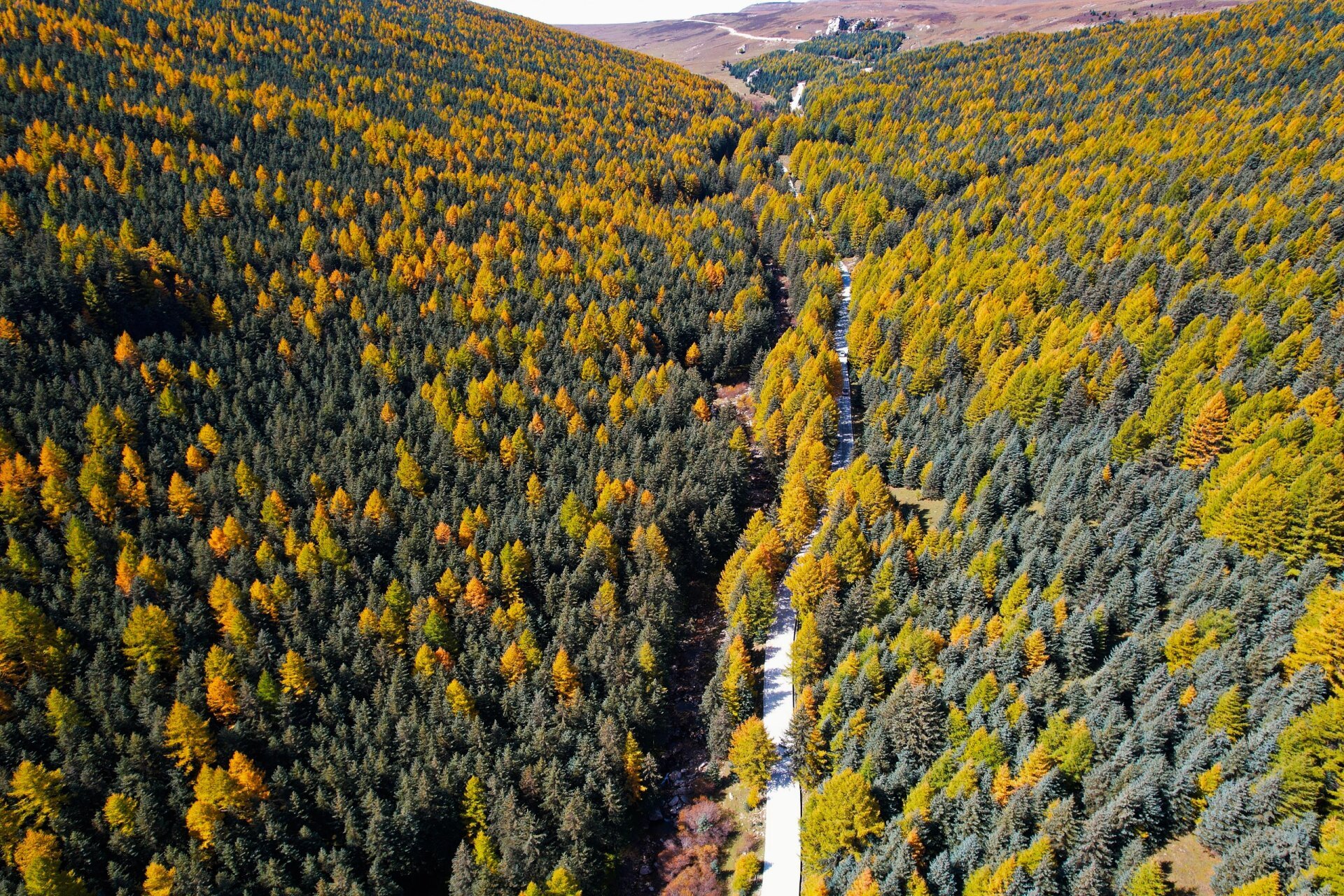 荷叶坪只能自驾去 从宁武导航到荷叶坪一路会经过芦芽山 路上的风景