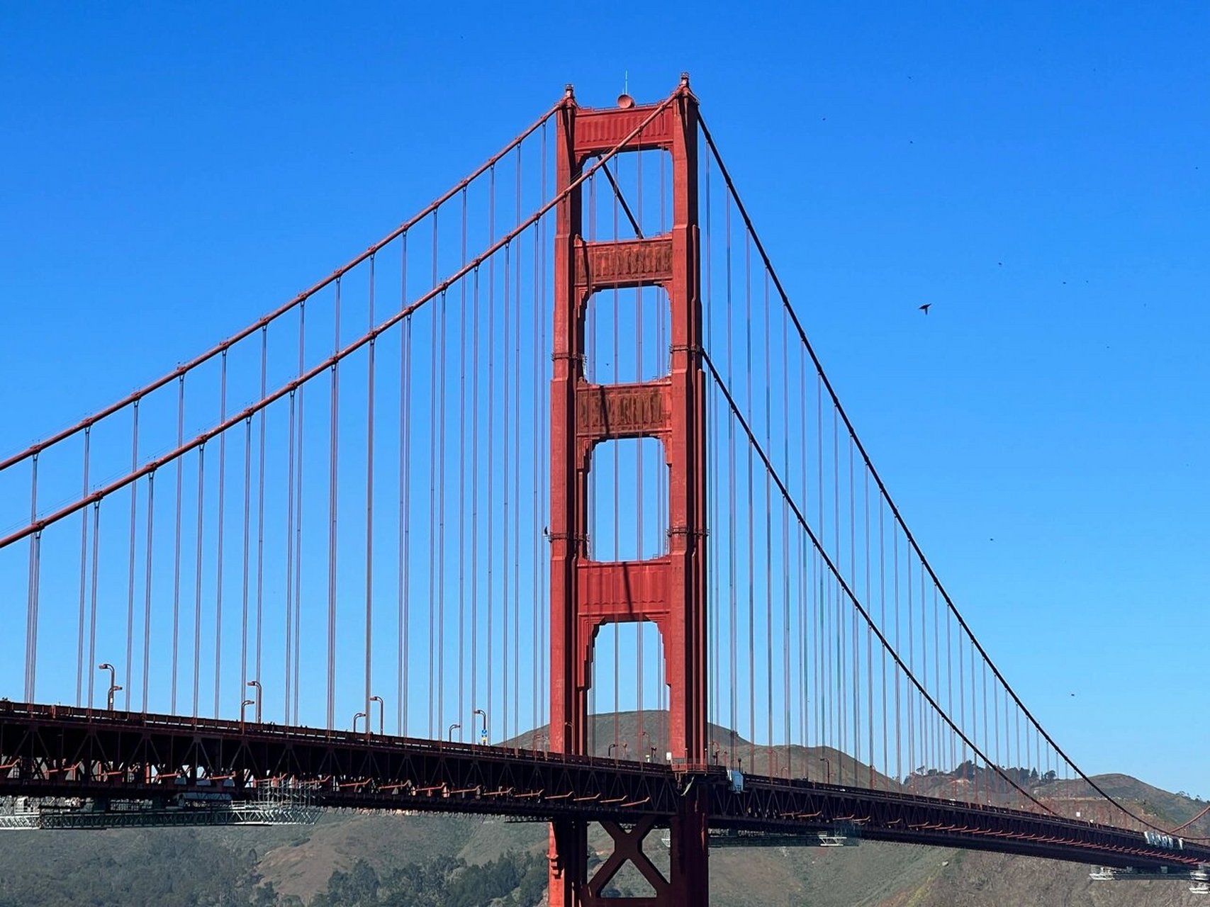 金门大桥 金门大桥,美国旧金山的地标.