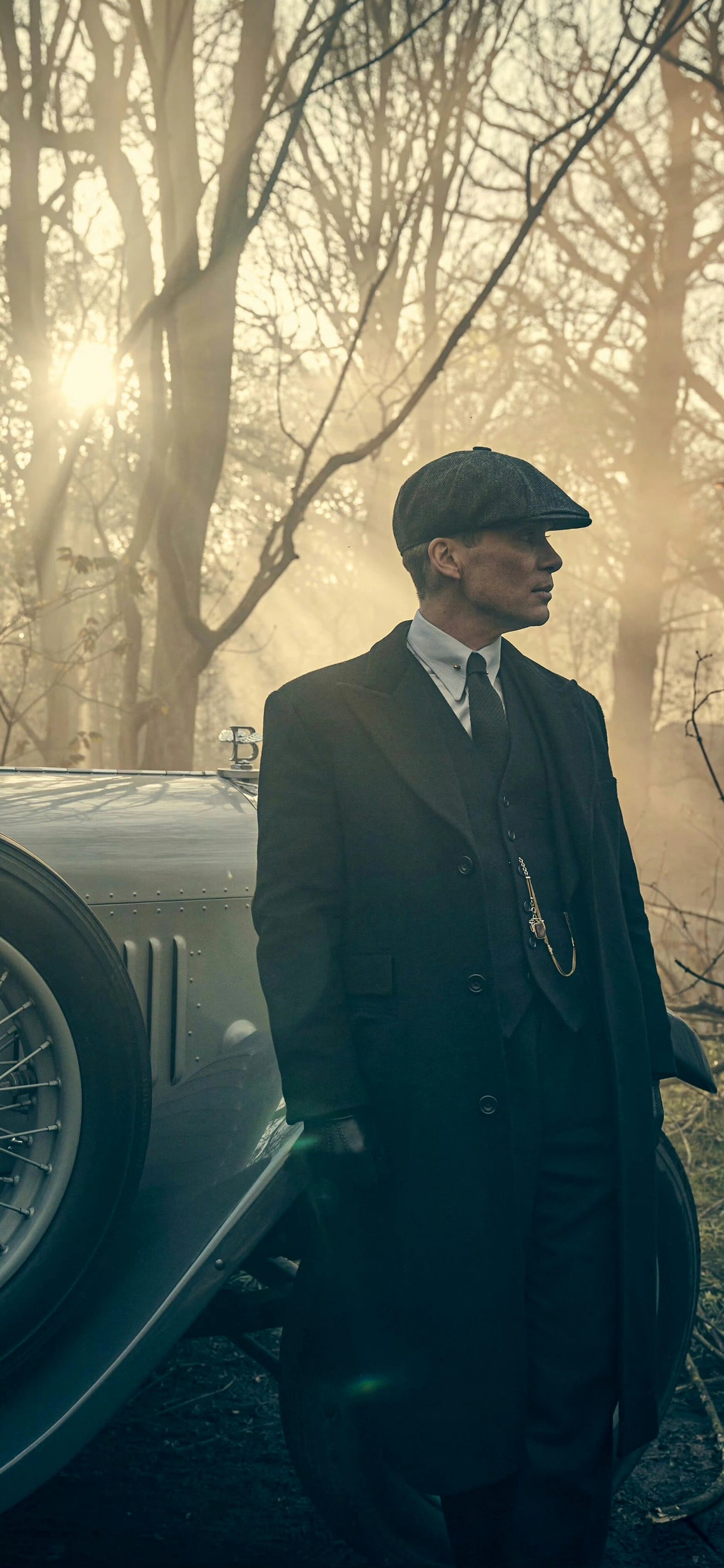 壁纸拿走,谢尔比家族!