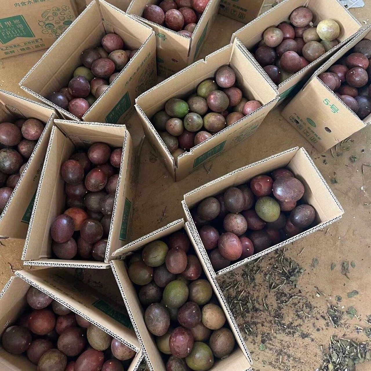 高山紫香一号百香果 当你遇上百香果, 尝试过就会喜欢上她的香, 贪恋