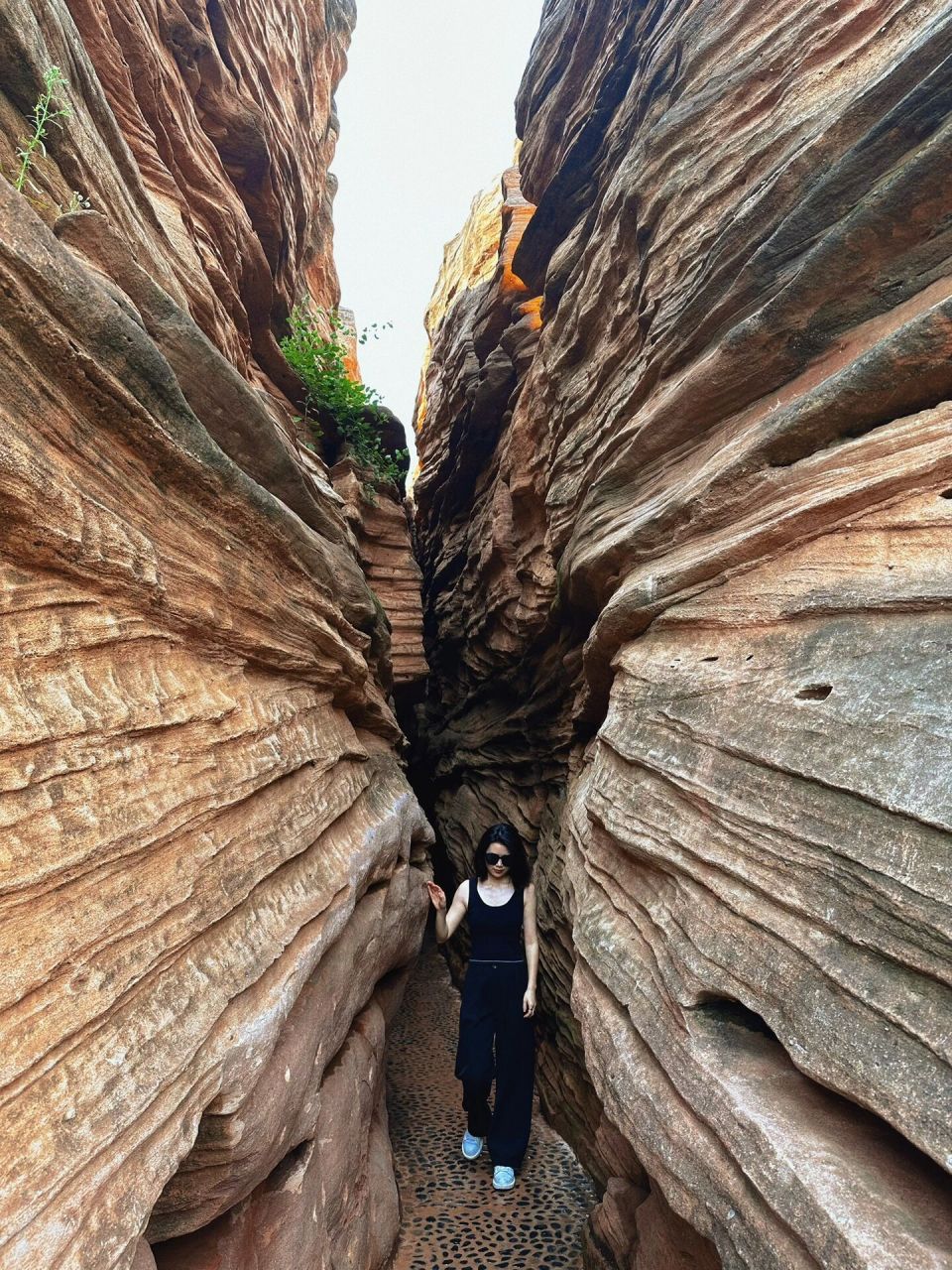 成都眉山周边一日游7215德阳中江石林谷 | 日常分享  美国羚羊谷