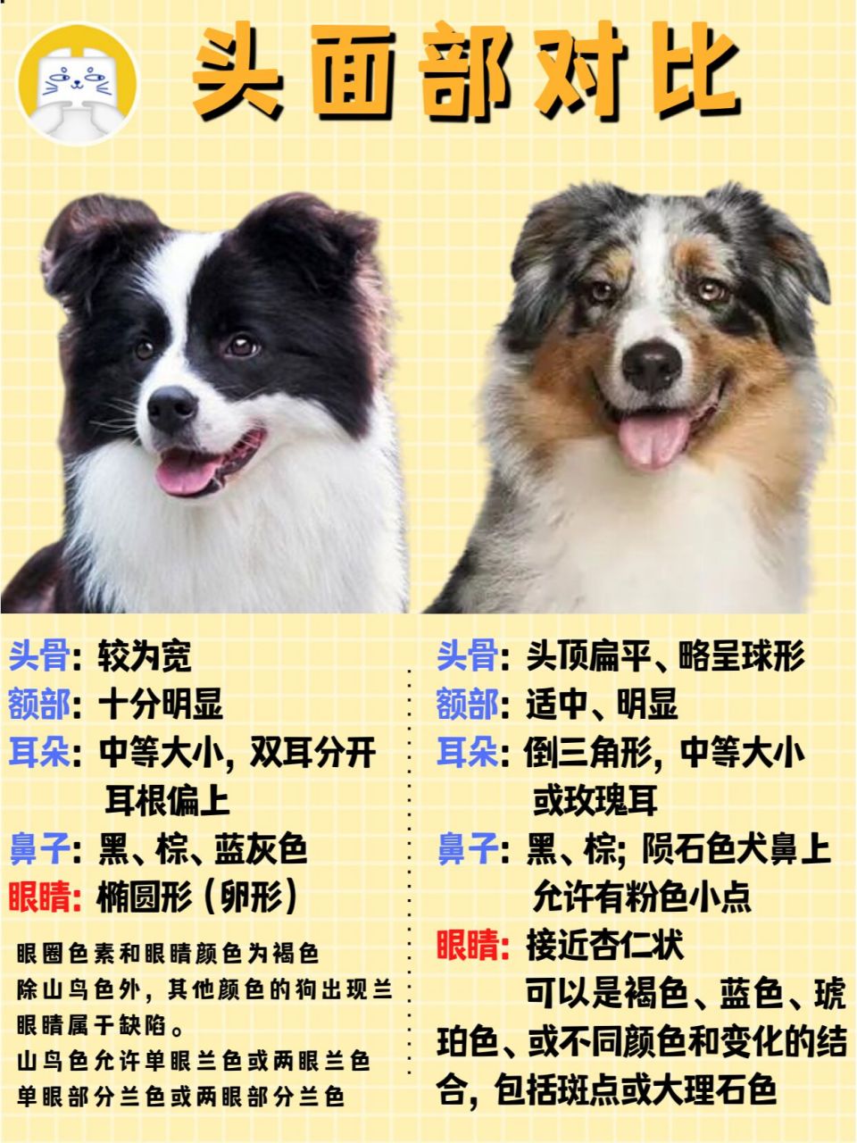 不会还有人不知道边牧&澳牧是两种牧羊犬吧 96边境牧羊犬 起源地
