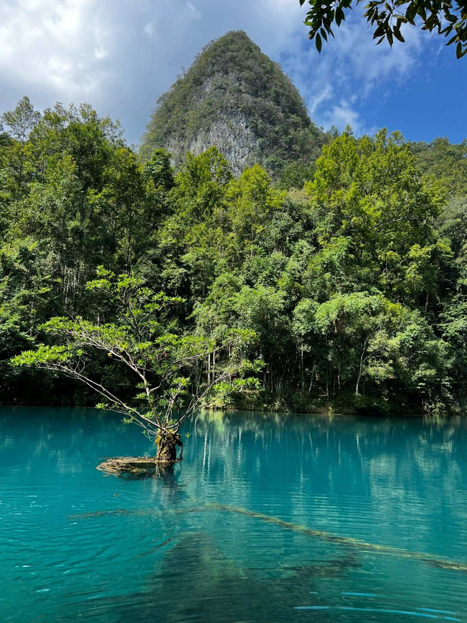 荔波小七孔之卧龙潭 第一站卧龙潭就惊艳了.