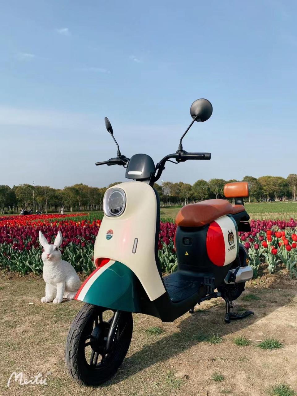 赛鸽电动车乐可款,五块大电池,续航百公里!