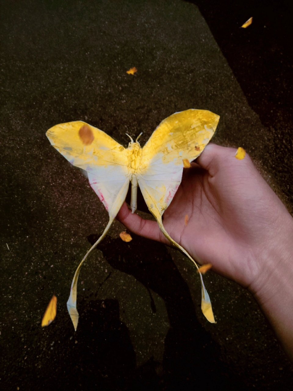 月神蛾～ 折纸月神蛾 设计:ngoc thanh 仿折:我自己!