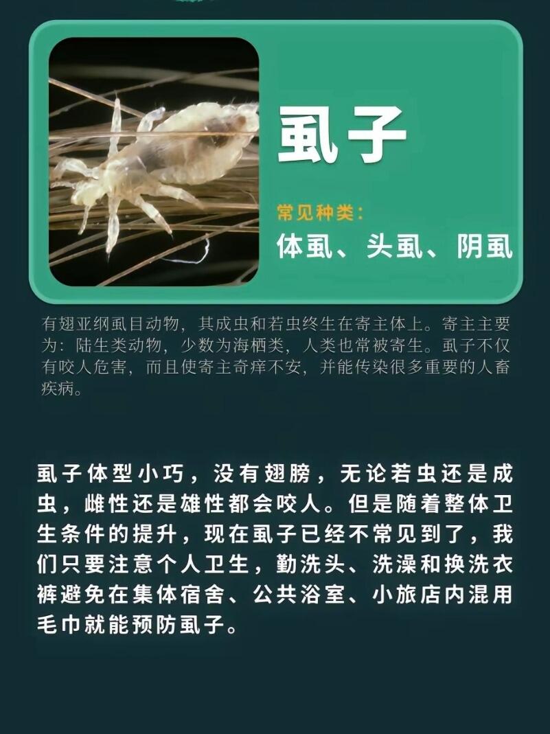 科普|家中除了蚊子外还有哪些咬人的虫子 盘点一下家庭中常见的这几种